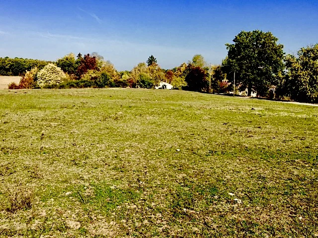 The Open Field