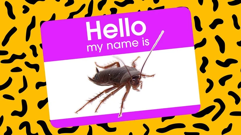 Name a Cockroach After Your Ex This Valentine’s Day