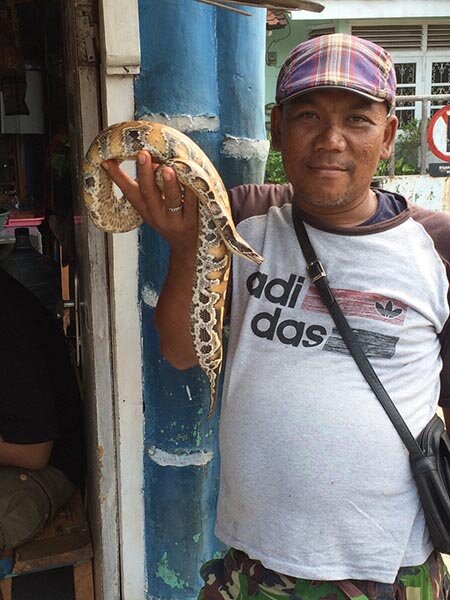 Man_selling_python_at_Jatinegara_Market.jpg