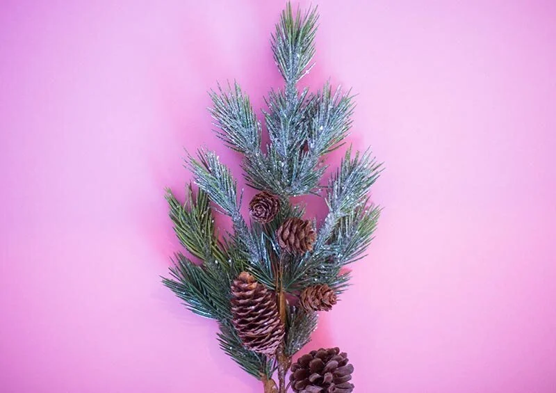 Stupid-Easy Pinecone Christmas Crafts