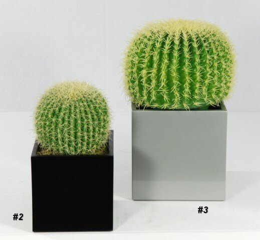 Cactus-Plant-Hidden-Camera-1.jpg