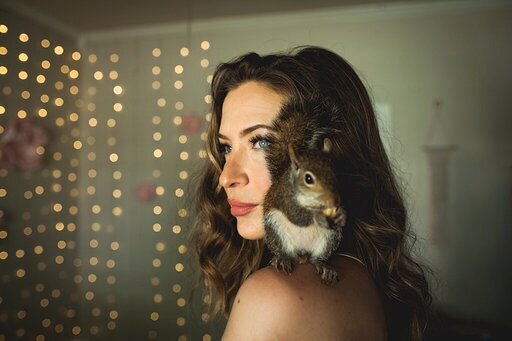 The Heartbreaking Saga of Willa the One-Eyed Squirrel