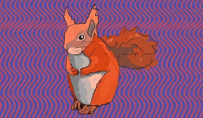 What It’s Really Like Owning a Pet Squirrel