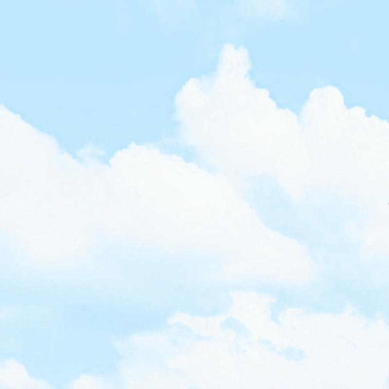 Admiral Cloudberg & The Unnerving Frankness of Plane Crash Reddit