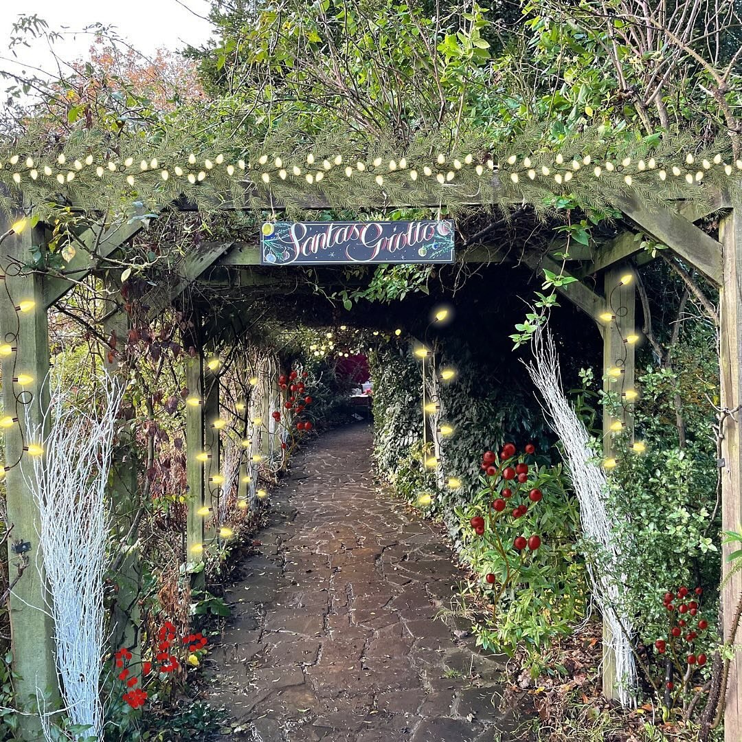 🎄 2 weeks to go until the magical Rookery Christmas Market returns! Save the date!🎄

📅 Saturday, 8th December ~ 10.30am - 3.30pm
📍 Location: The Rookery
🎁 Fun for all ages, food, drinks, handmade gifts, and a chance to make unforgettable festive