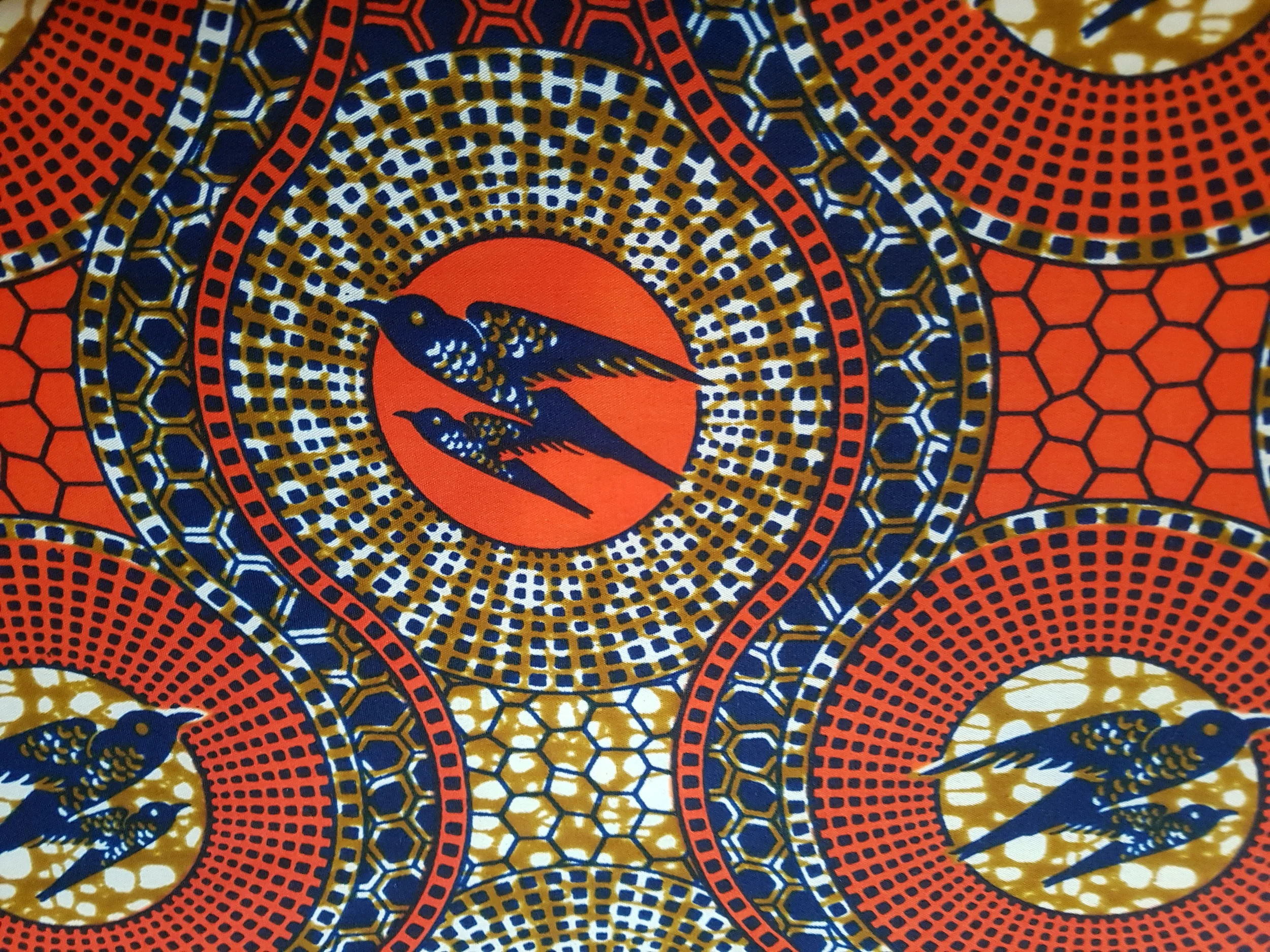 Orange & blue bird