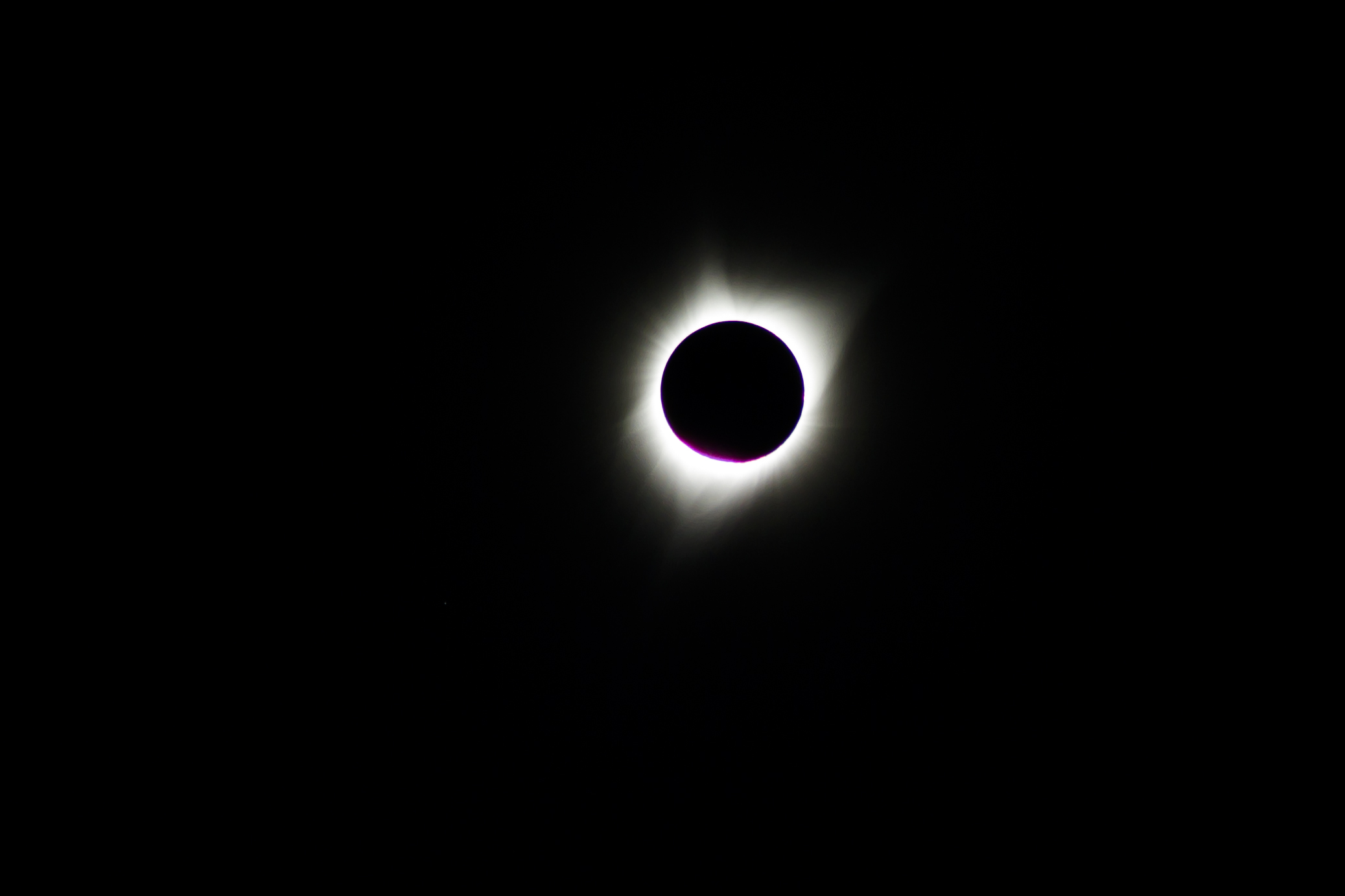 7DD_9190_cropped.jpg