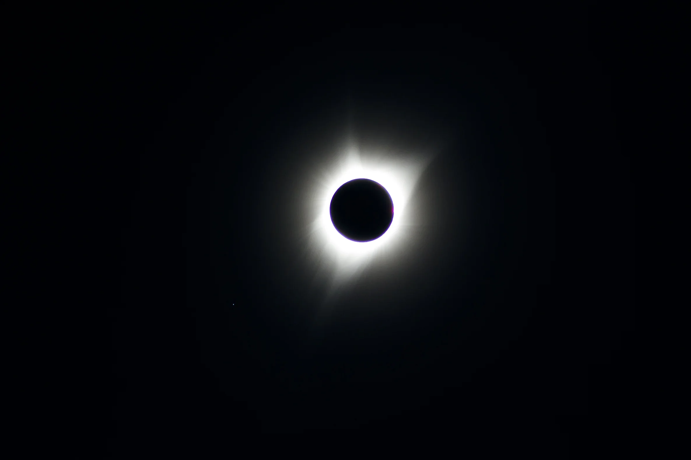 7DD_9201_cropped.jpg