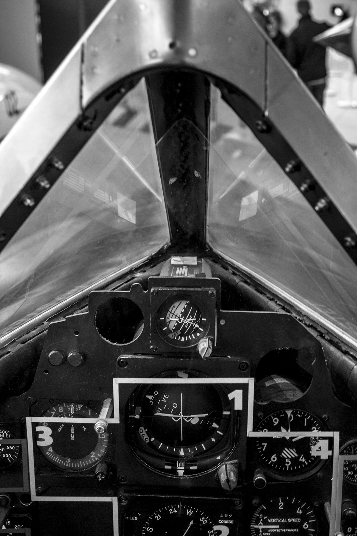 IMG_8870.jpg