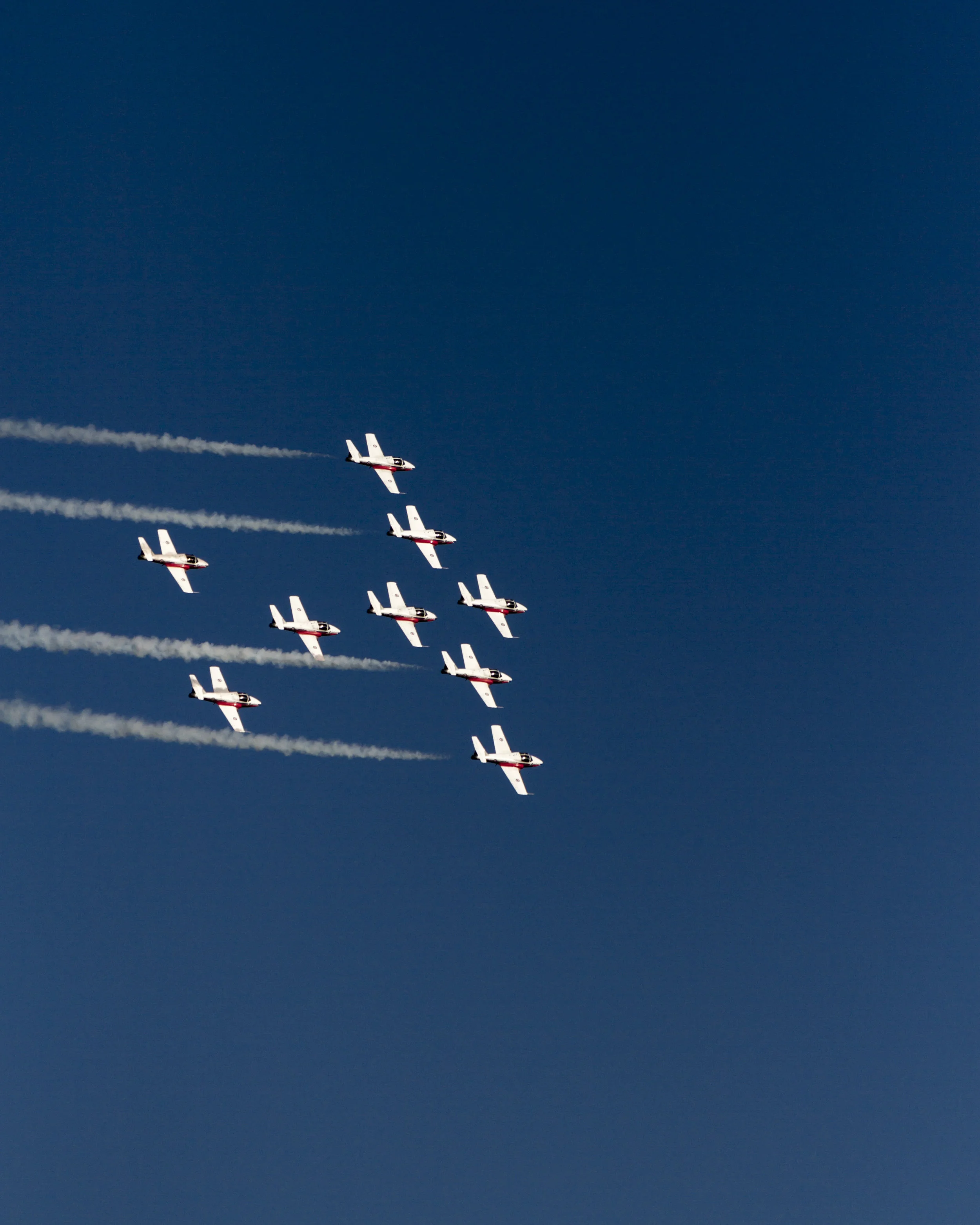 7DD_9652_4x5.jpg