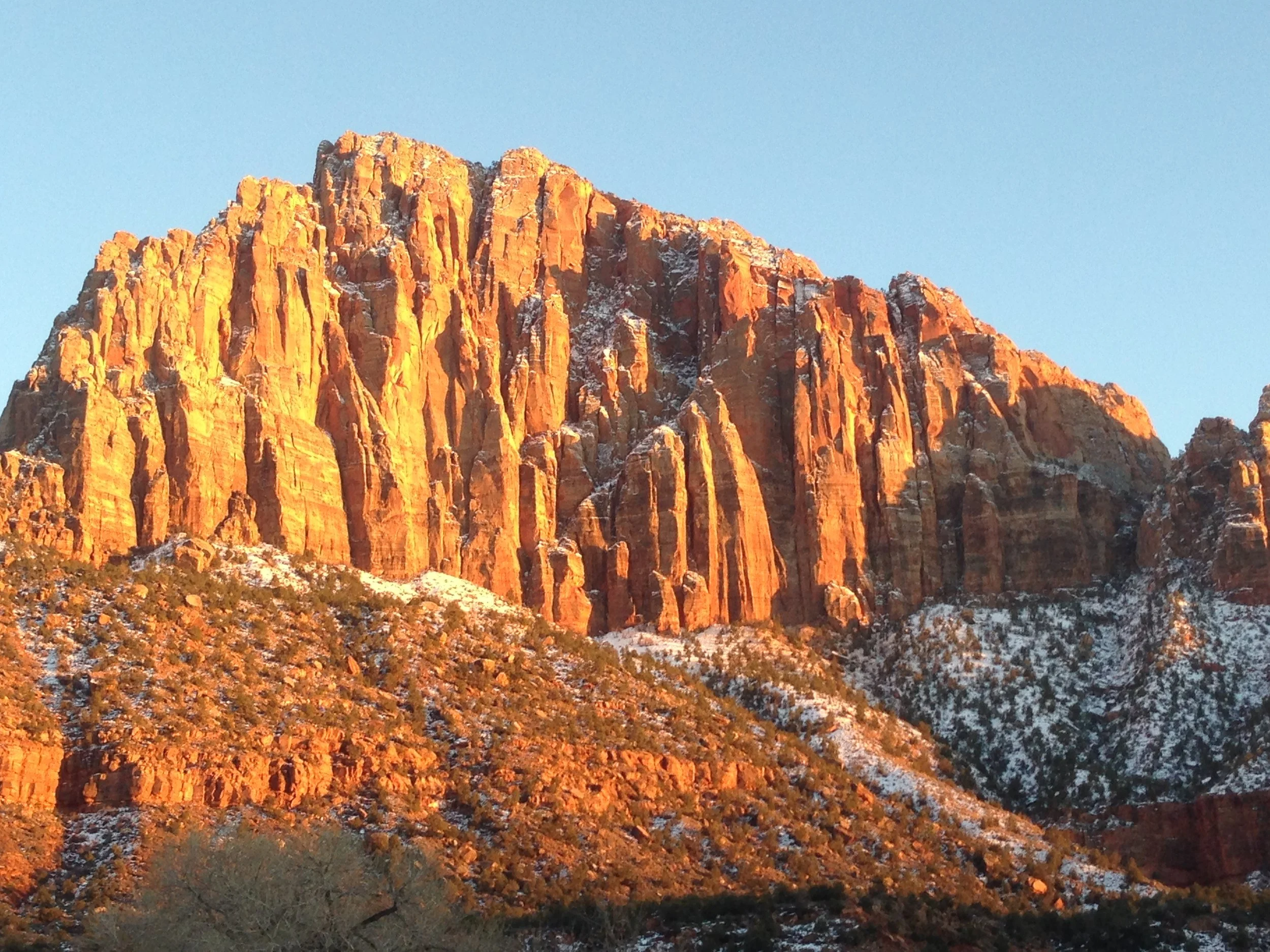 Free Initial Consultation