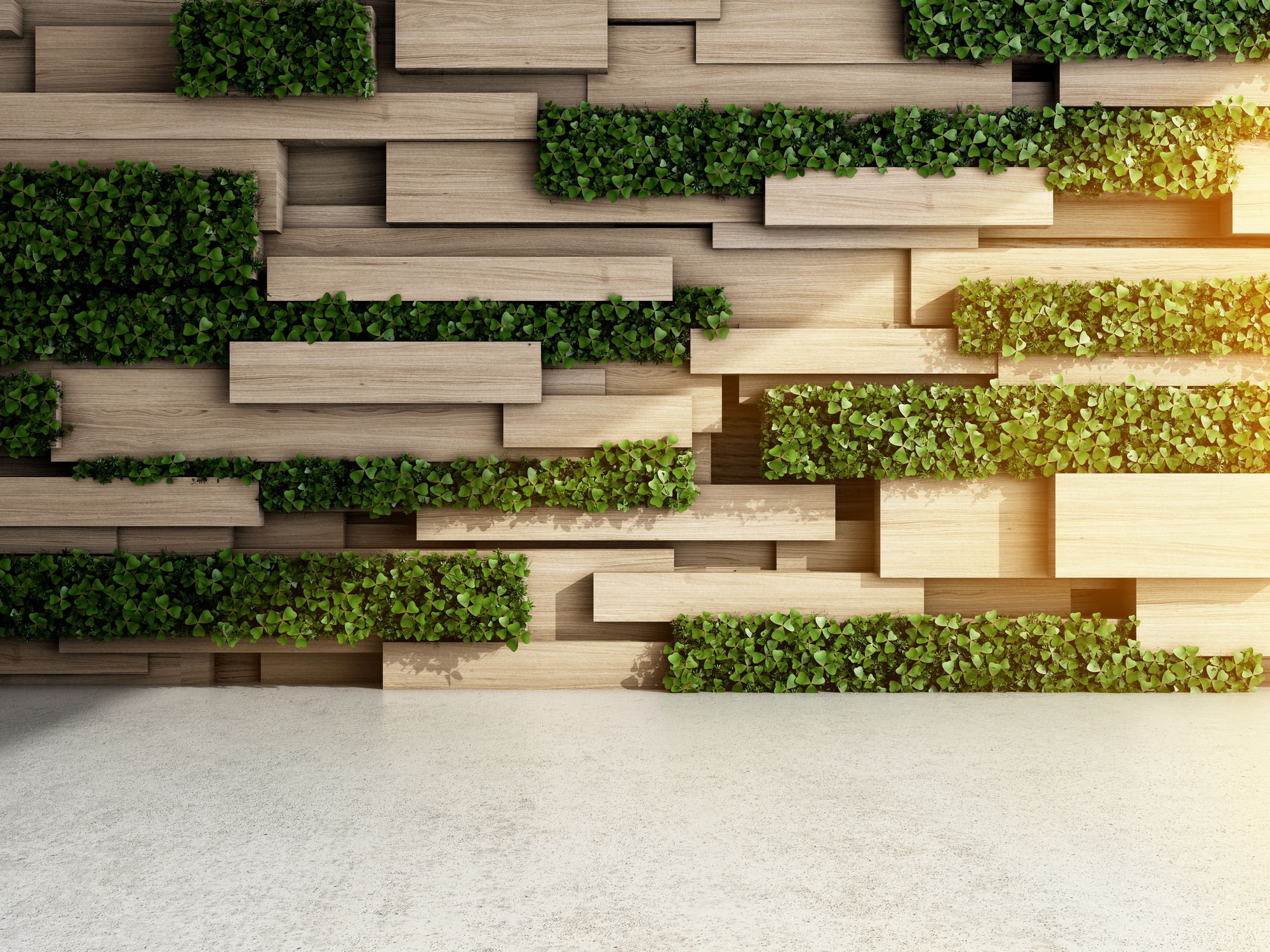 Energy & Sustainability