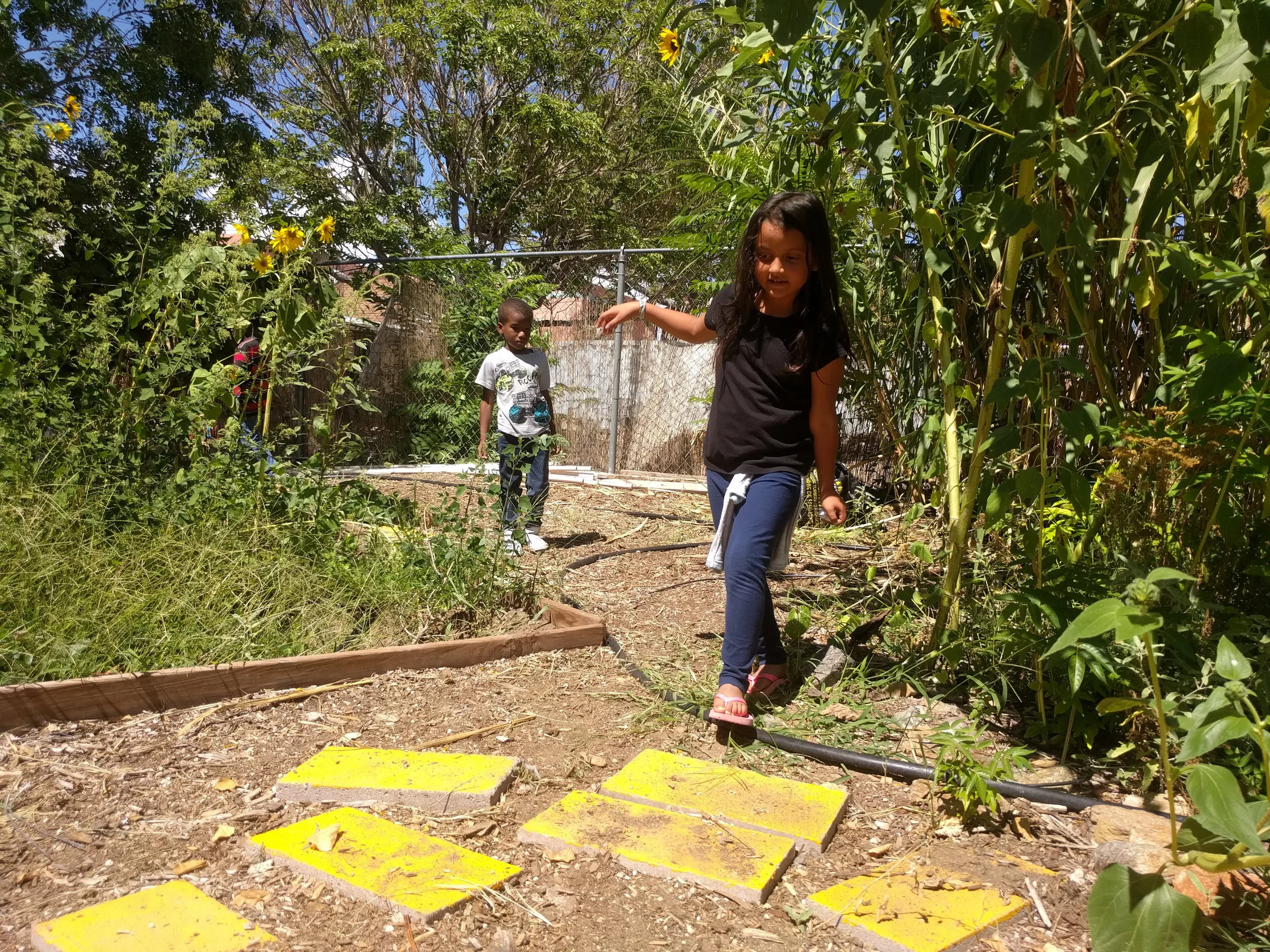 usbc-garden-yellow-road.jpg