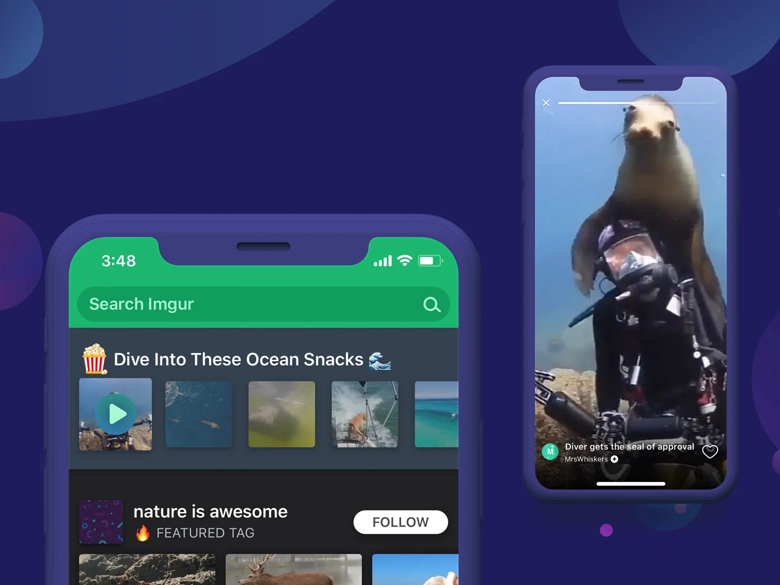 GIF Snacks on iPhone&nbsp;