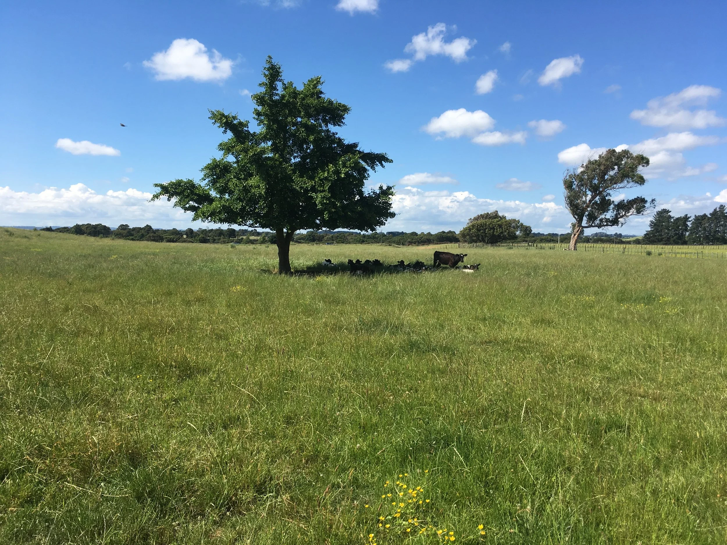 Welcome to the Farm.