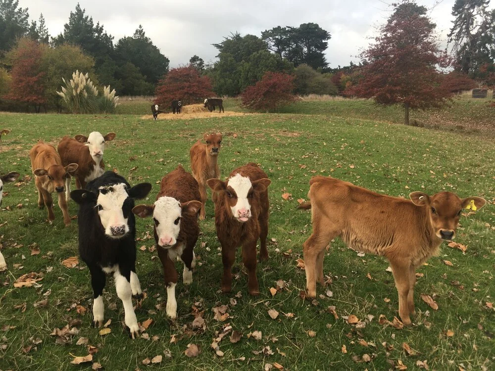 Farming in lock down.