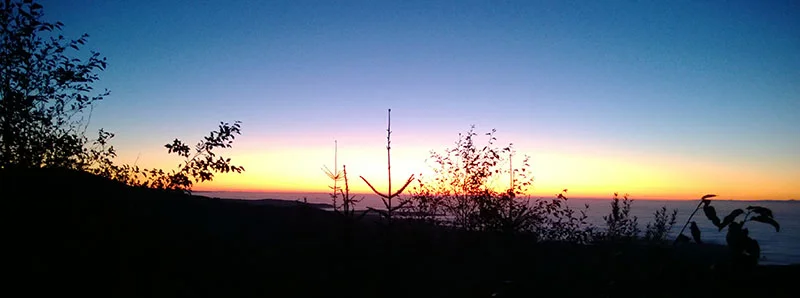 Not for what was, but what can be.