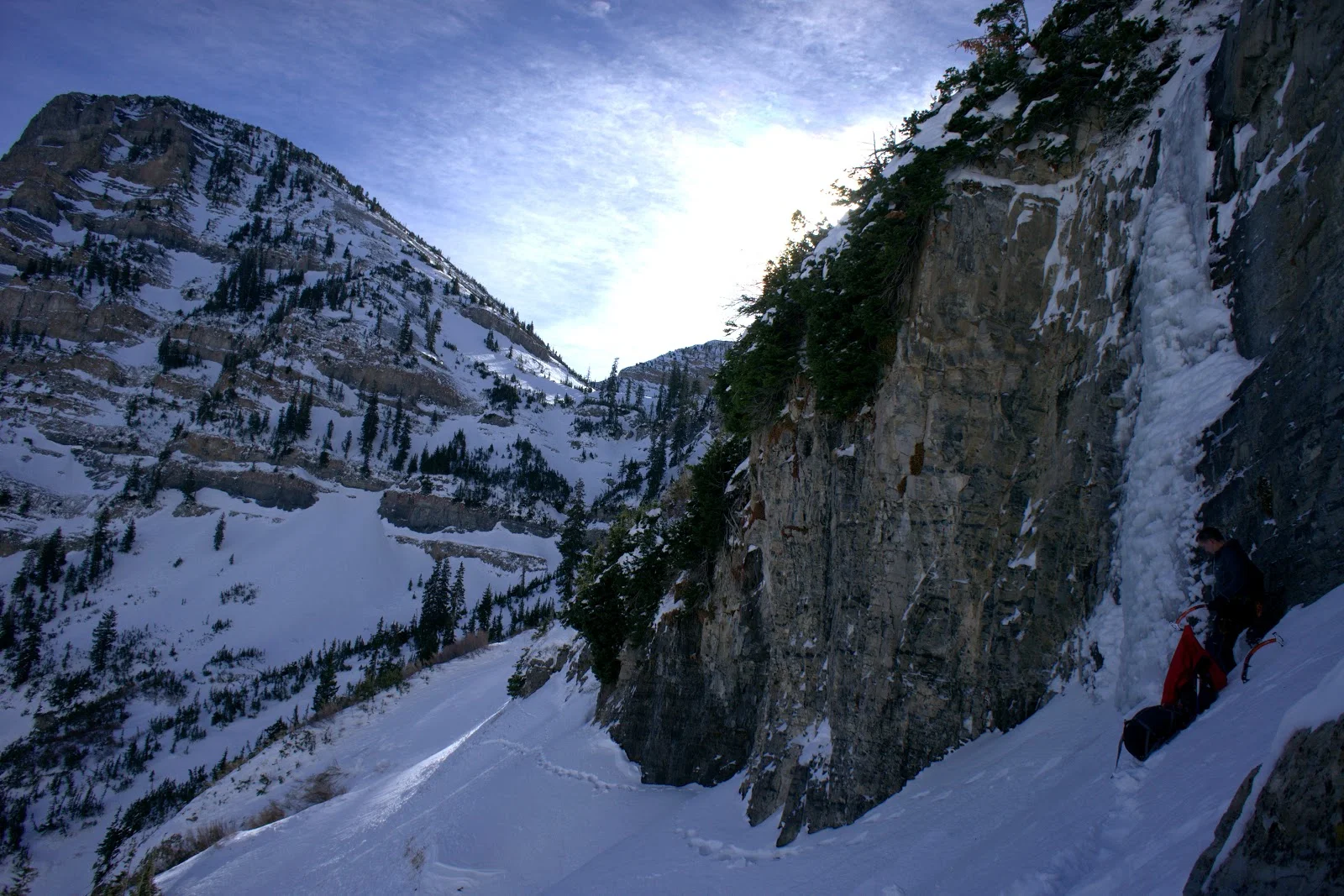 DSC08604.jpg