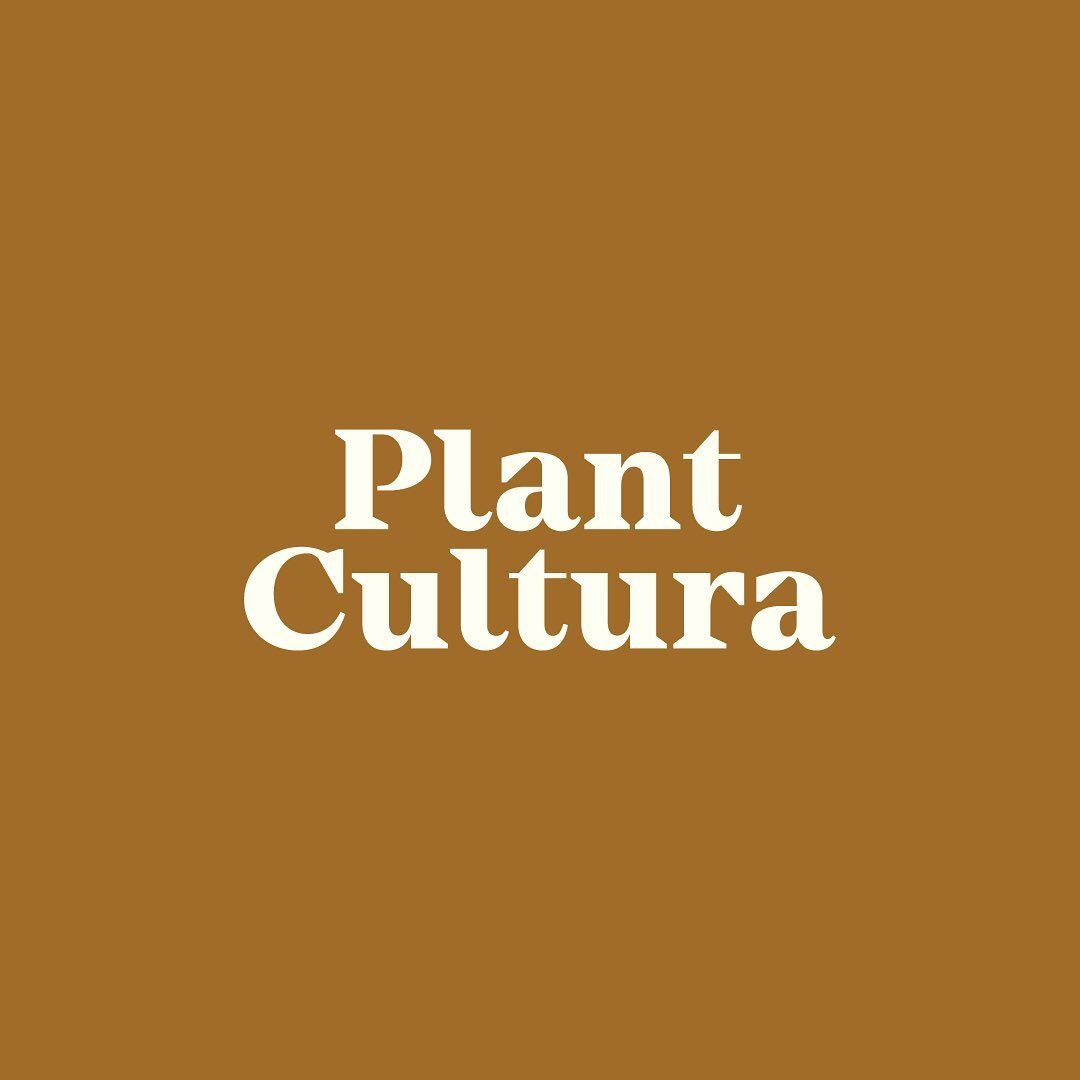 New small business @plantculturasanjo here in downtown San Jos&eacute;, California! Hit  them up for your botanical needs! Keep an eye out for their next POP UP event! 🪴 #plants #plantsofinstagram