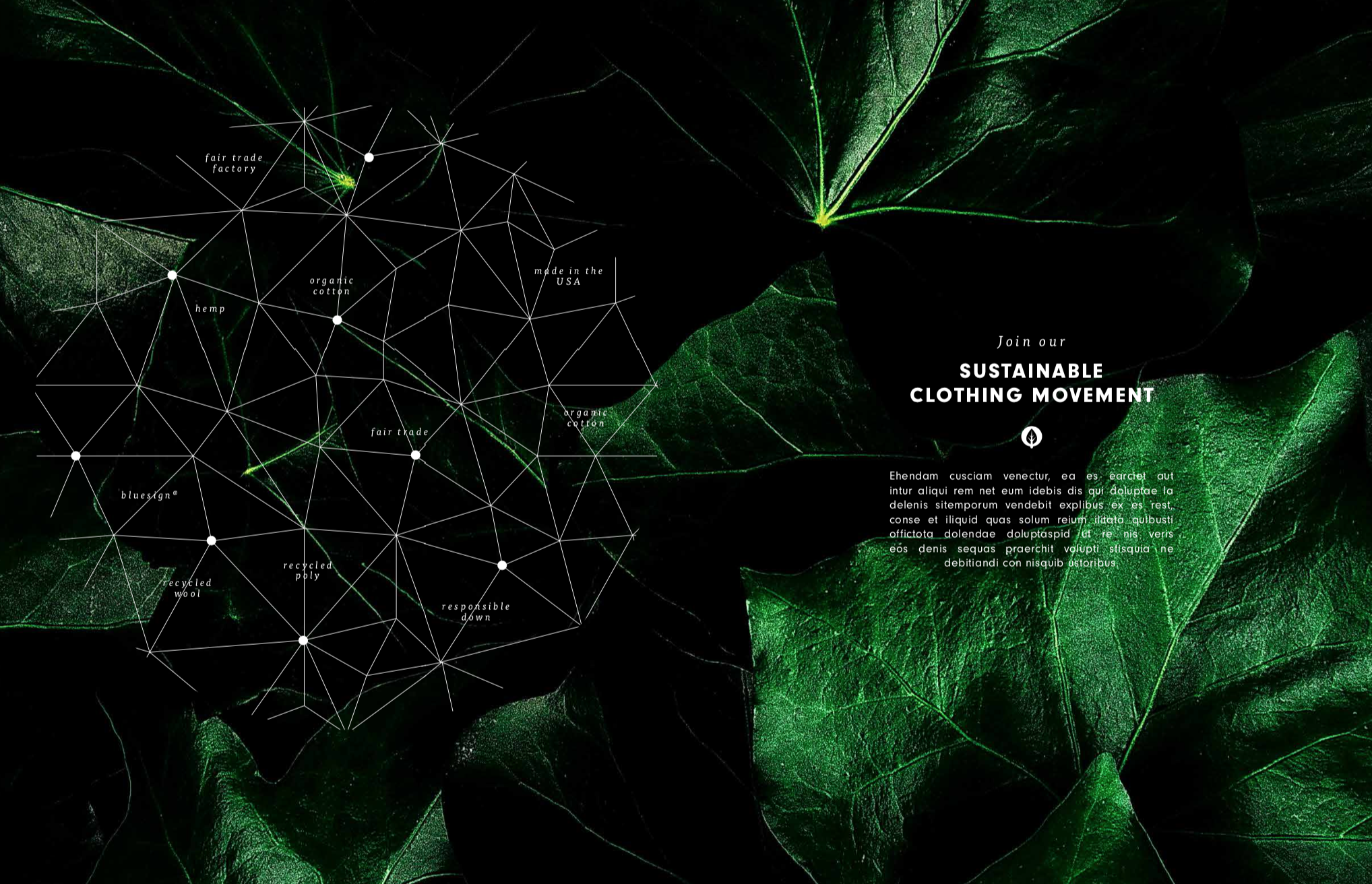 Screen Shot 2018-07-08 at 8.11.42 PM.png