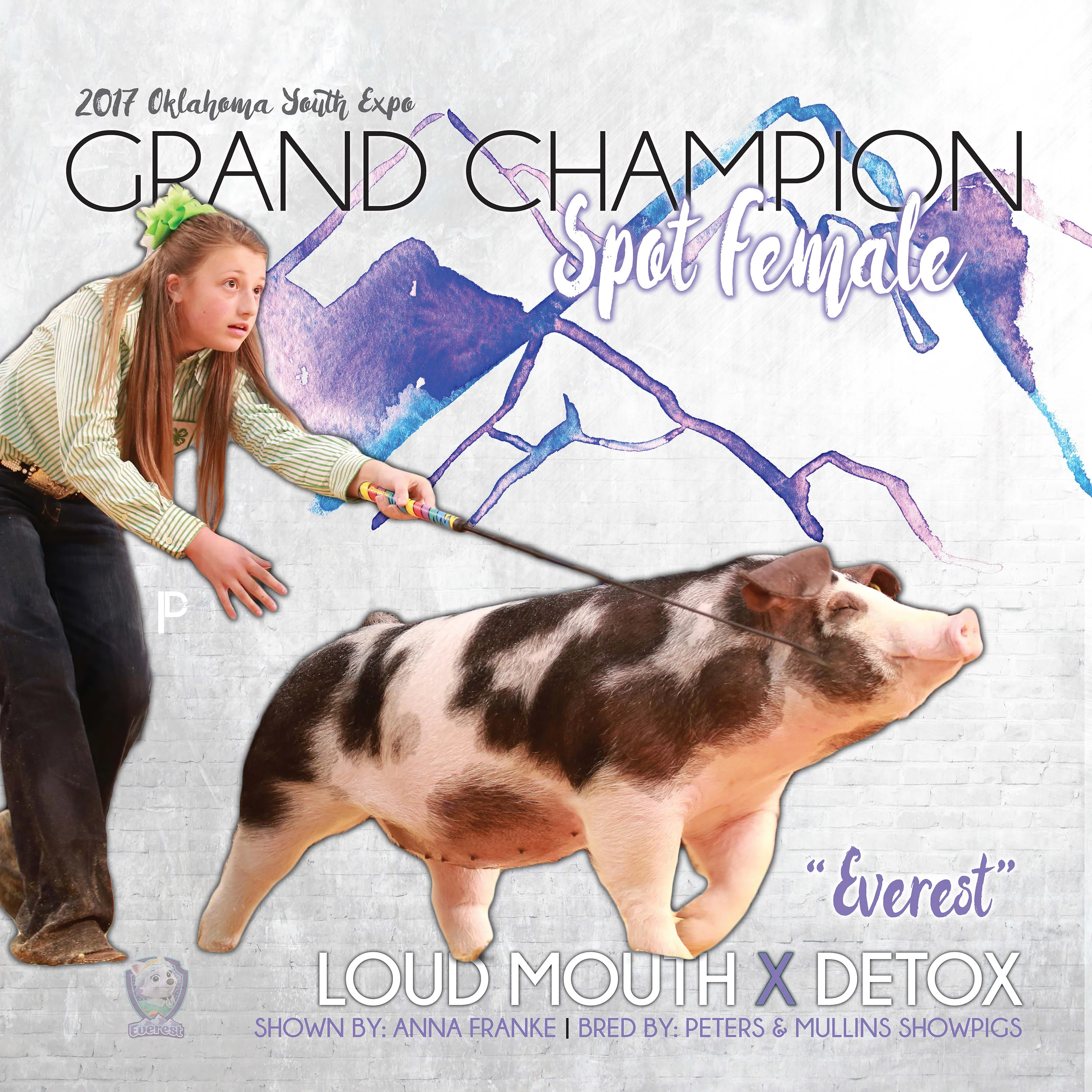 franke-banner-small.jpg