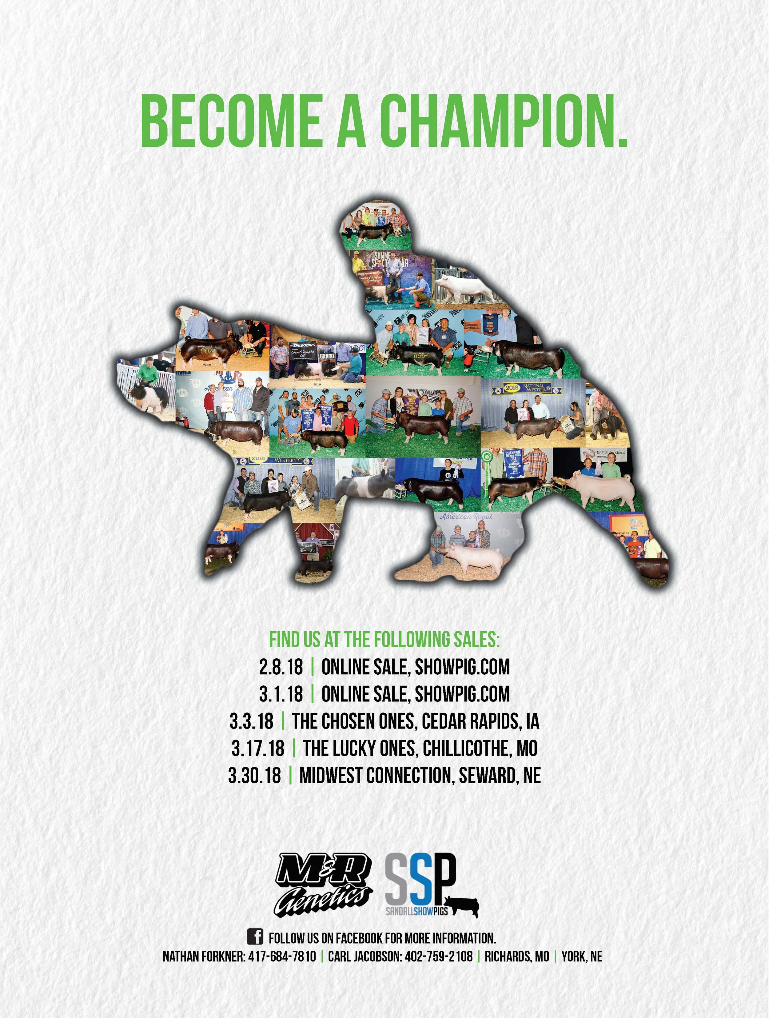 March 2018 Issue of Breeders Digest