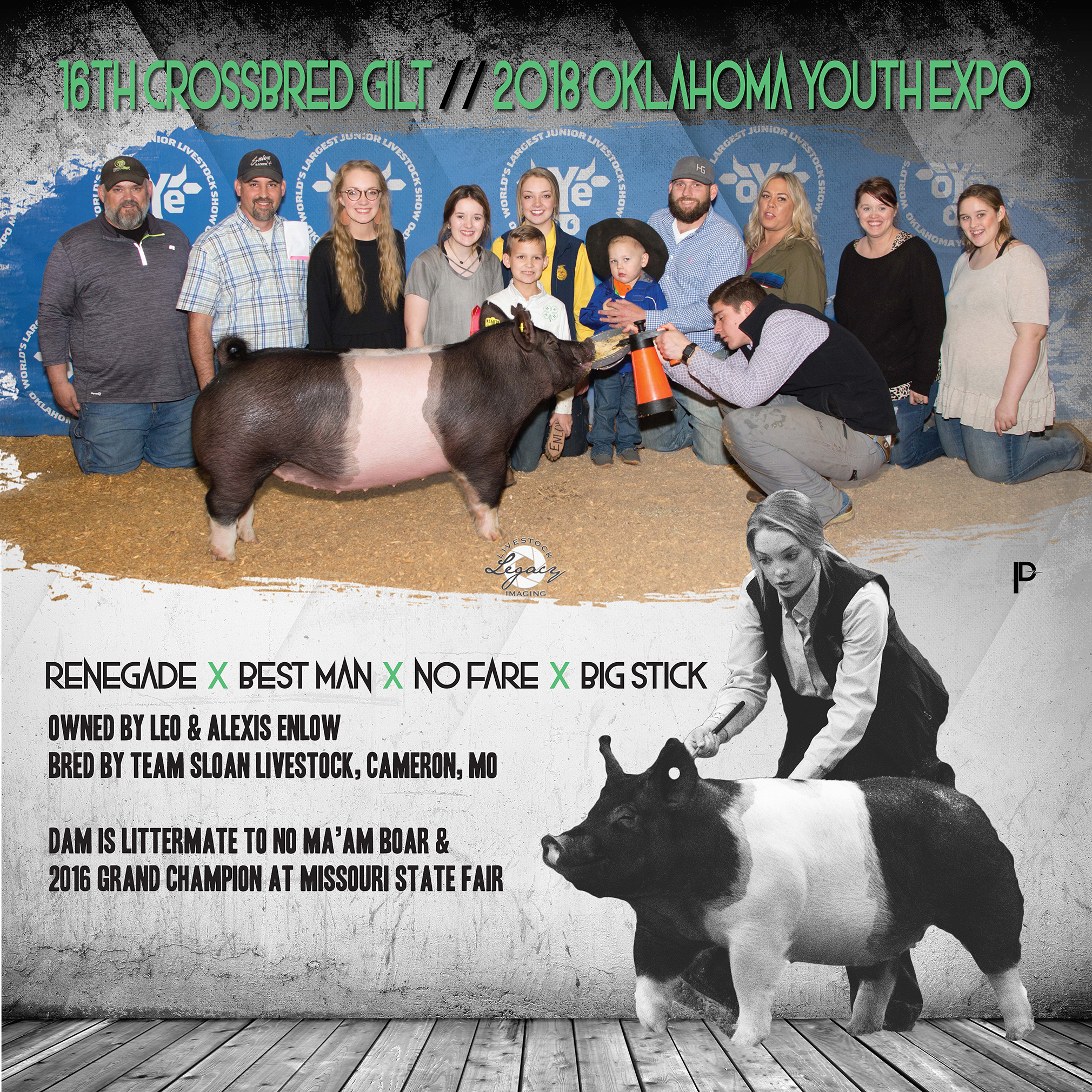 enlow-banner-edit.jpg