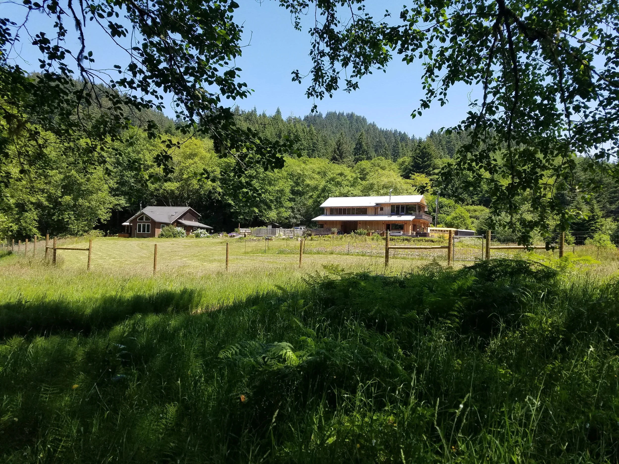 20160607_122838.jpg