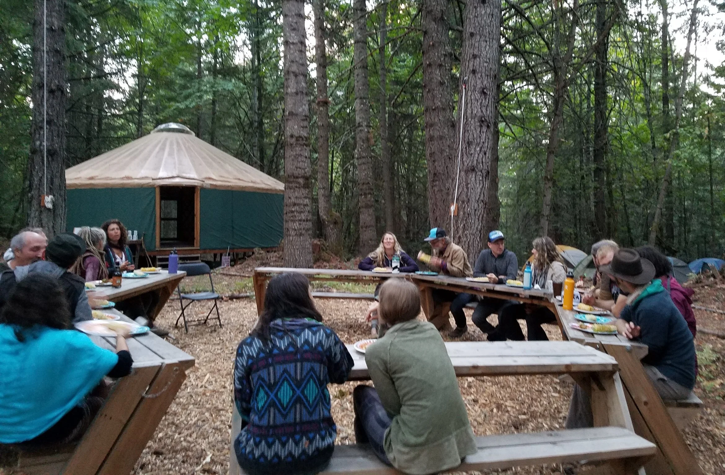 Atlan Forest Camp 3.jpg