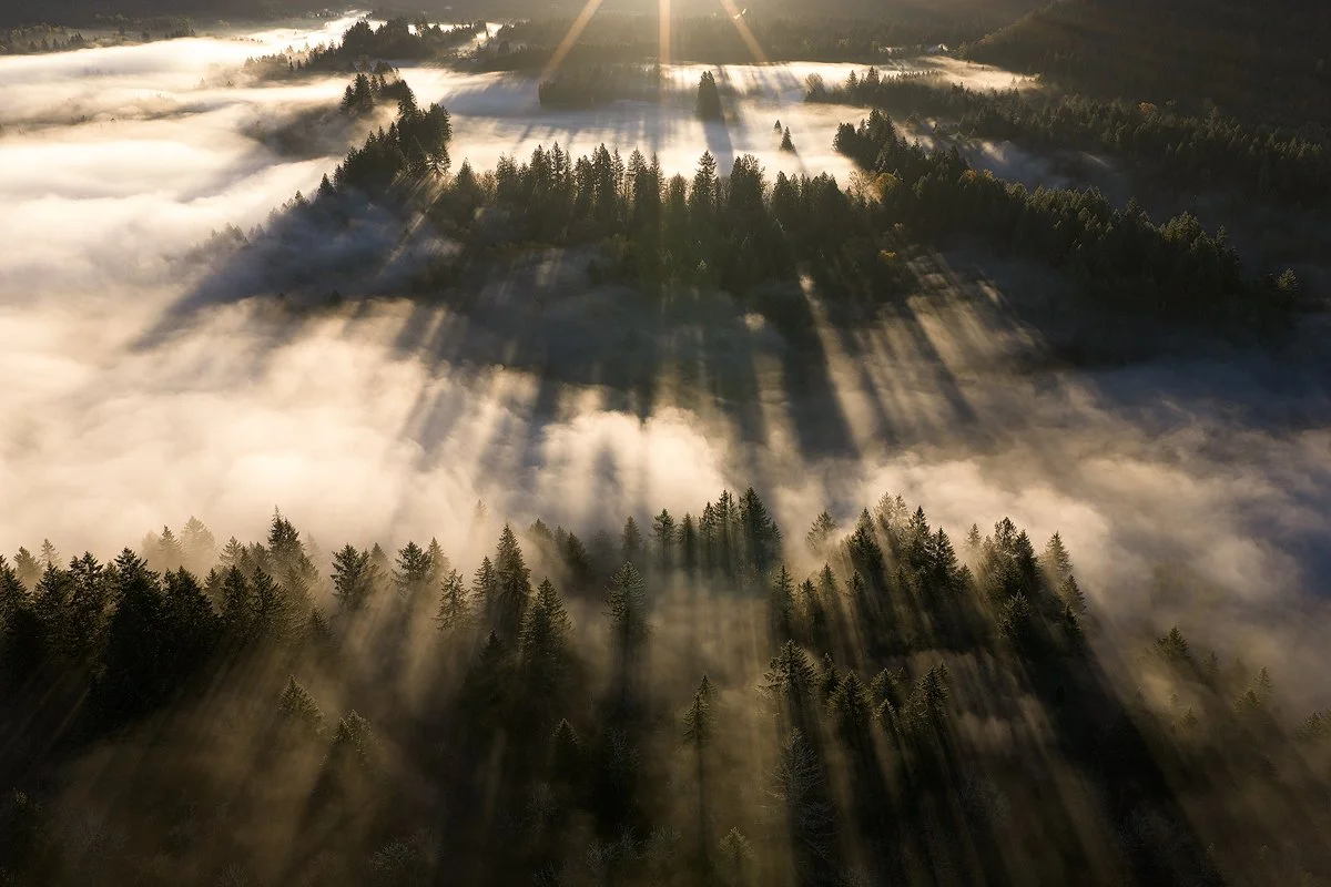 Morning rays
