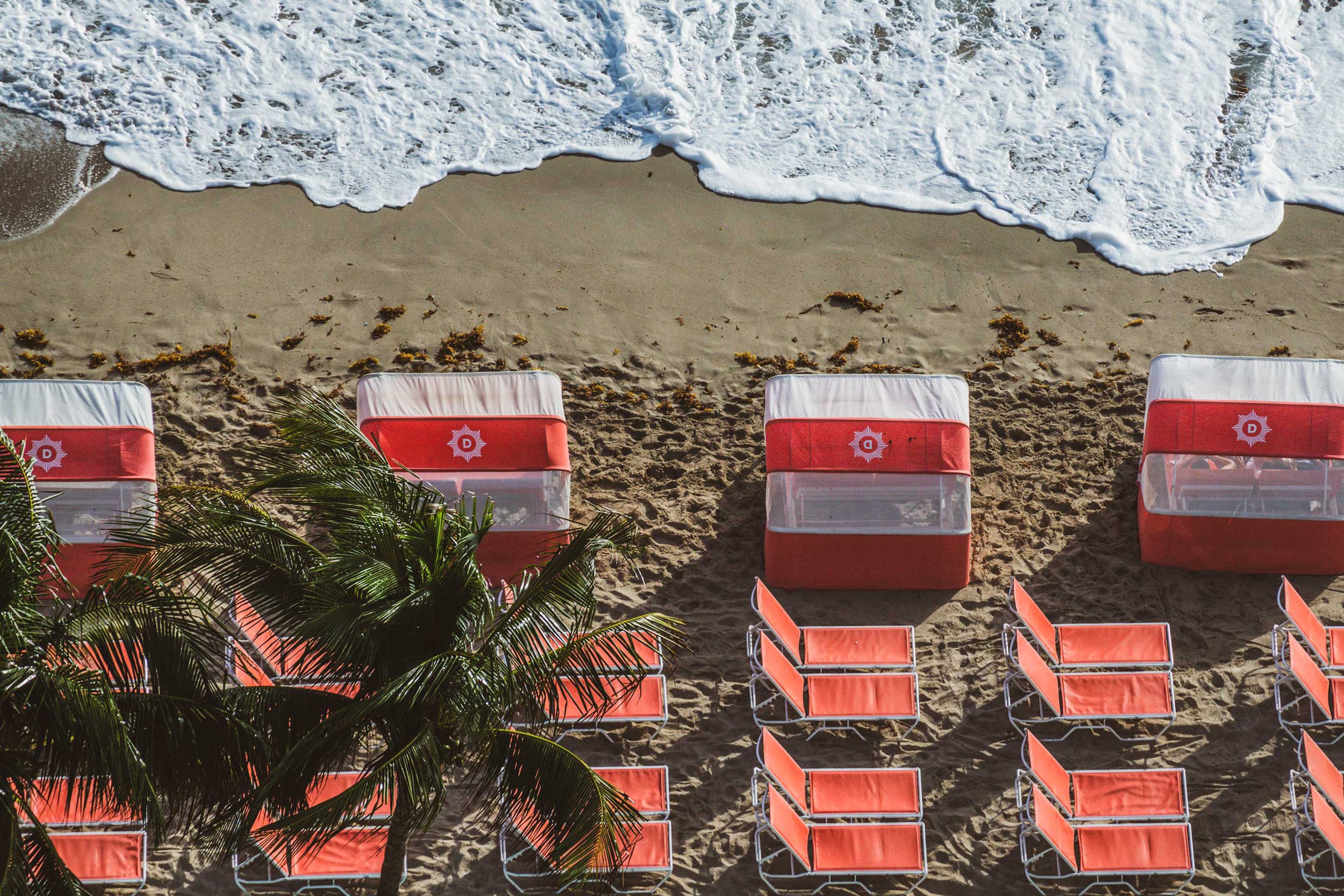GretchenMay-Portfolio-Diplomat-PhotoBeachBranding.jpg