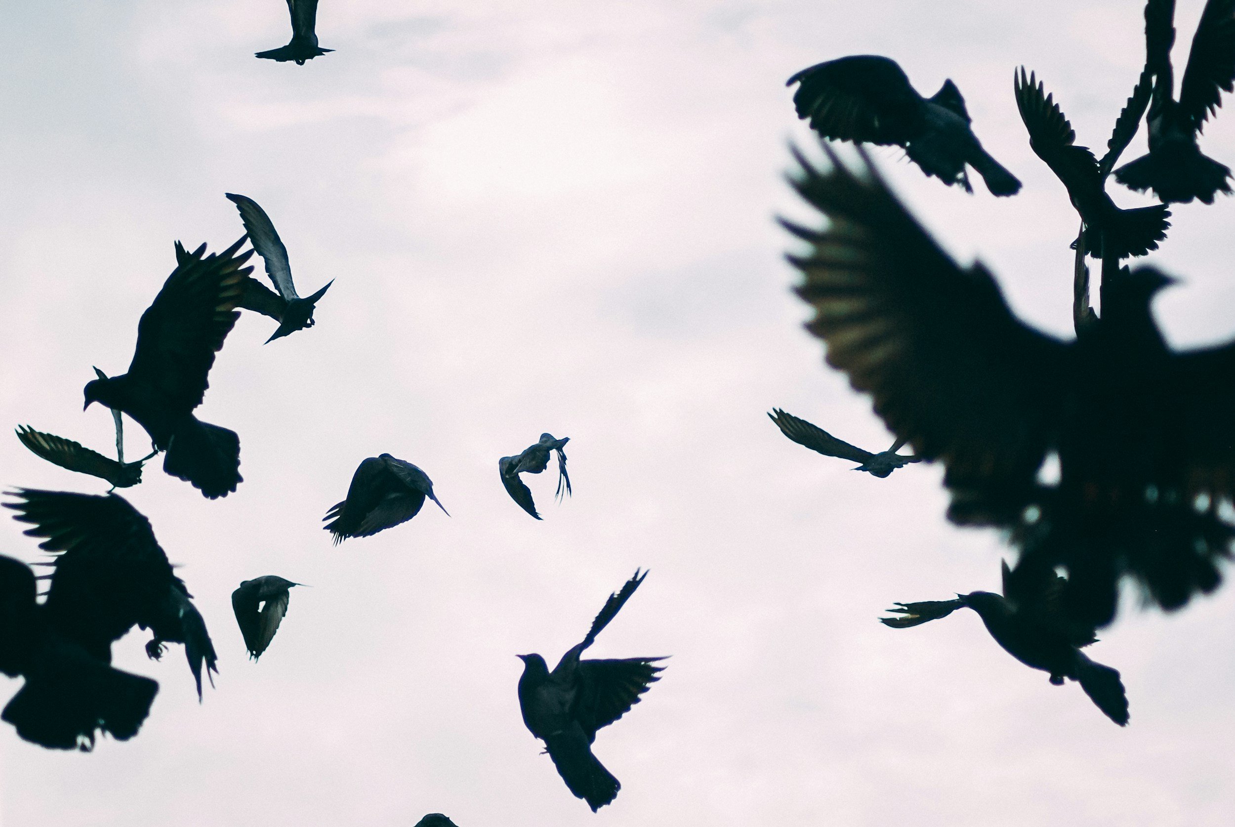 ‘In the passing’ and other poems