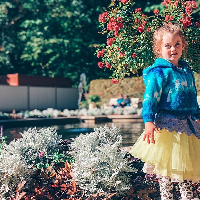 -Łazienki Park-
..
Home to the Palace on the Isle that I 𝓂𝒶𝓎 have said was Elsa&rsquo;s summer palace 🧖🏽&zwj;♀️🏰
..
#fayfamilygapyear #scoutfrances