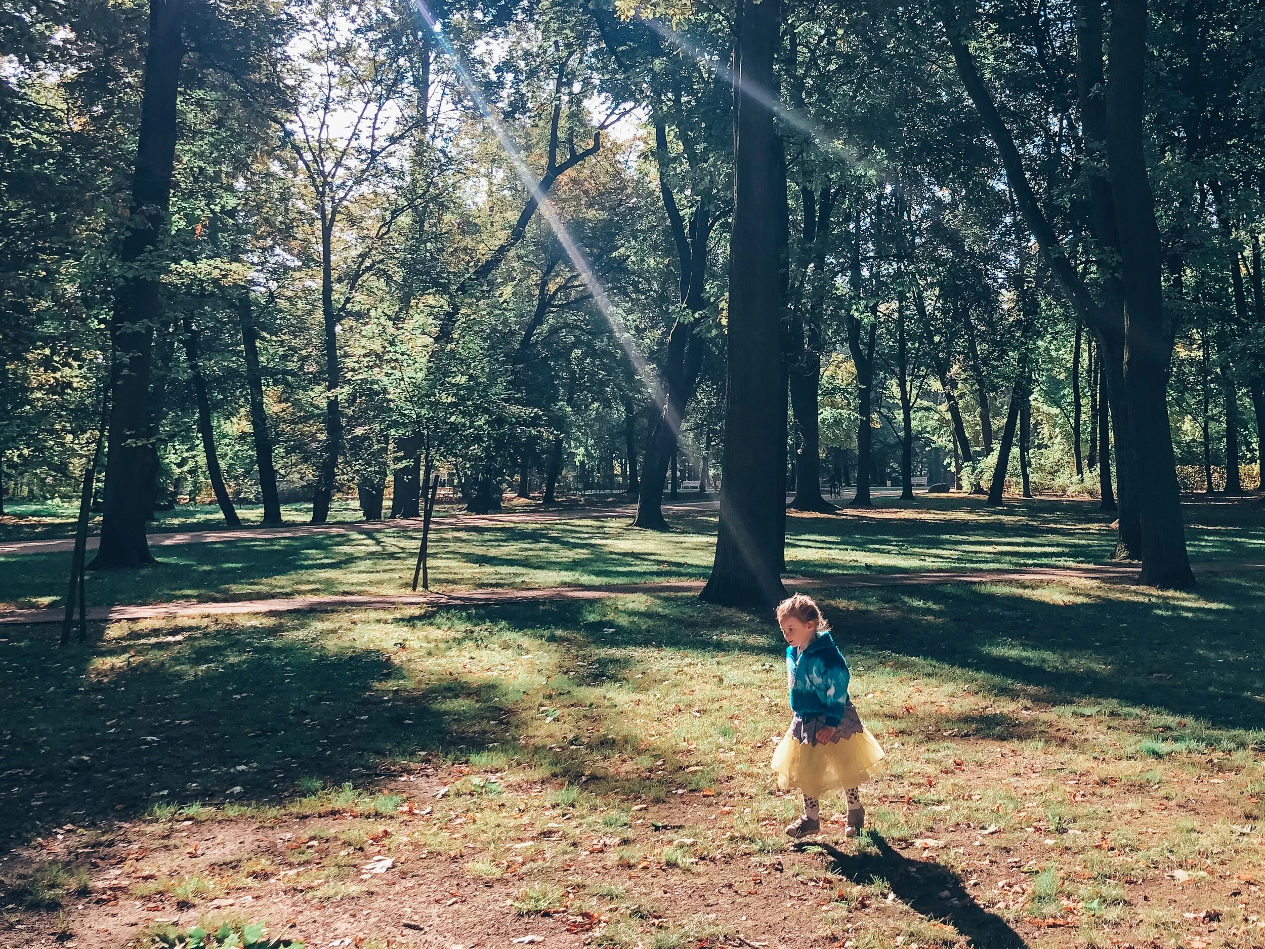  Lazienki Park 