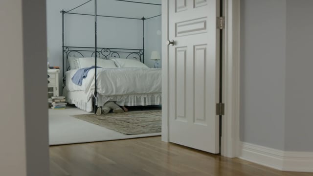 Skinny Cow "Hide and Seek"