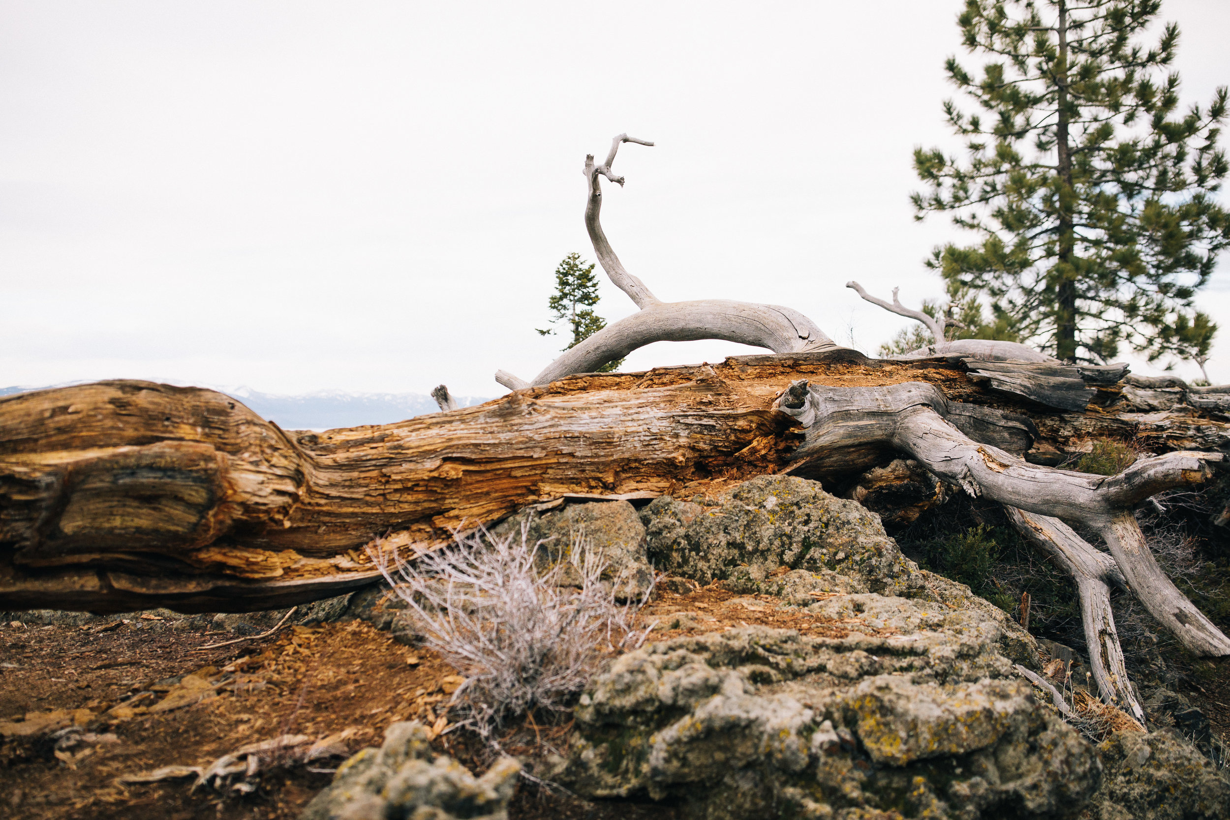 2018_01_01 Tahoe Trip 2018 Edited Full Resolution 0049.jpg