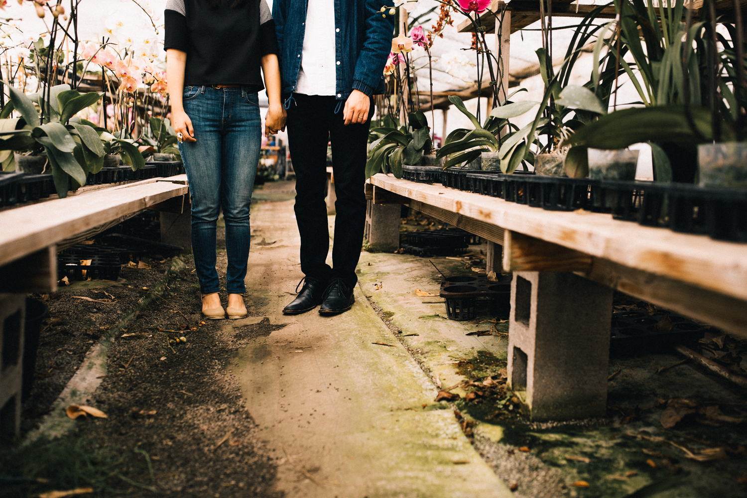 2018_01_ 28Candice and Julio Greenhouse Session Blog Photos Edited For Web 0018.jpg
