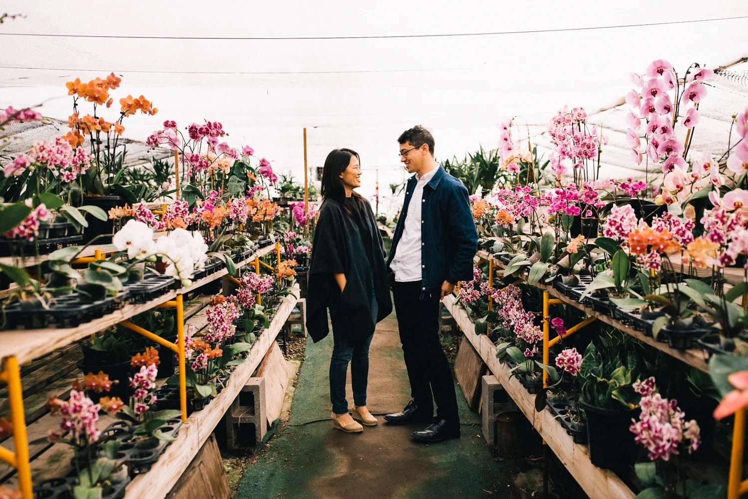 Half Moon Bay Greenhouse Session