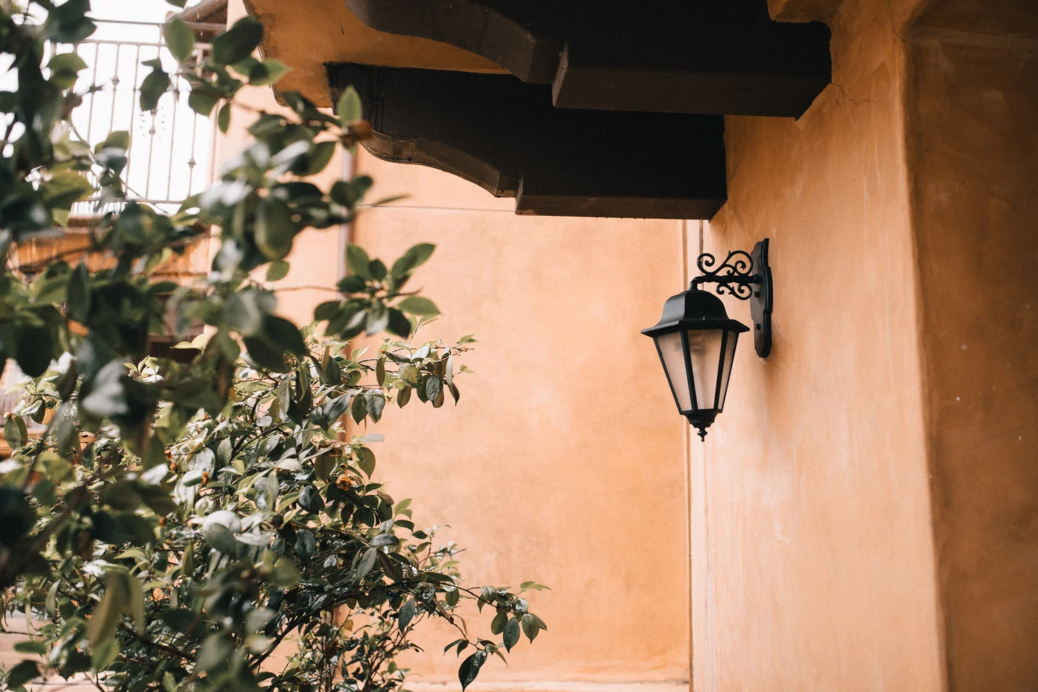 2019_05_ 182019.05.19 Lisa + Eddie South Bay Wedding Blog Photos Edited For Web 0002.jpg