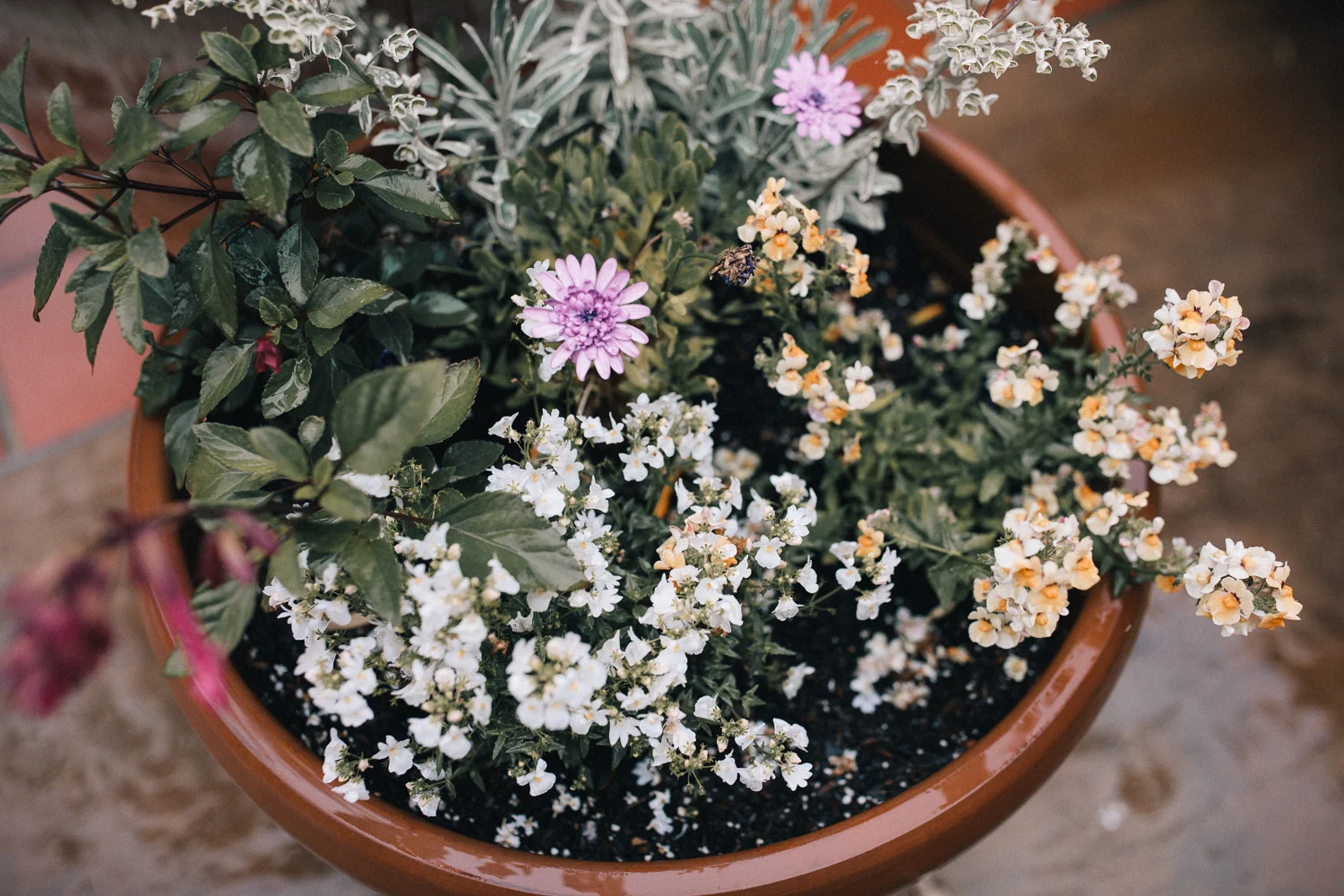 2019_05_ 182019.05.19 Lisa + Eddie South Bay Wedding Blog Photos Edited For Web 0007.jpg