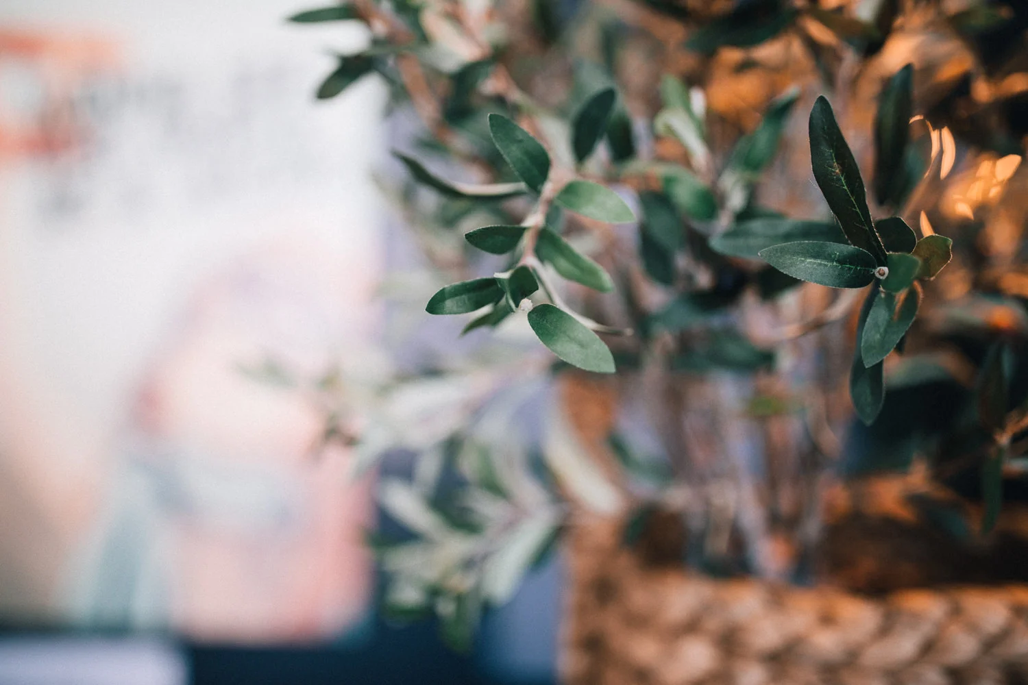 2018_08_ 192018.08.19 Haley + John Joe and The Juice Blog Photos Edited For Web 0046.jpg