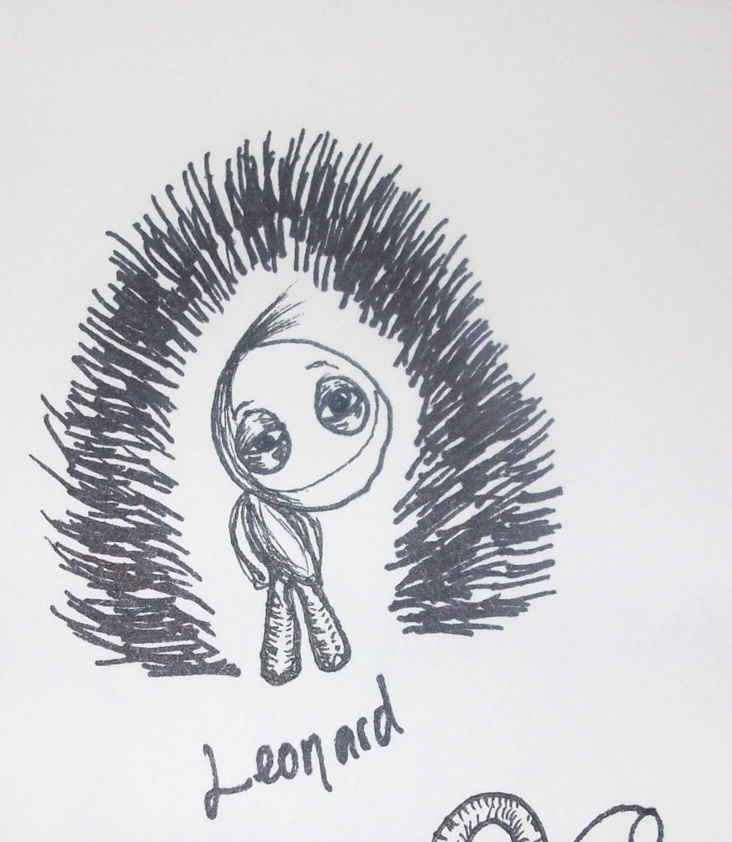 Dedicated to All Doodlers