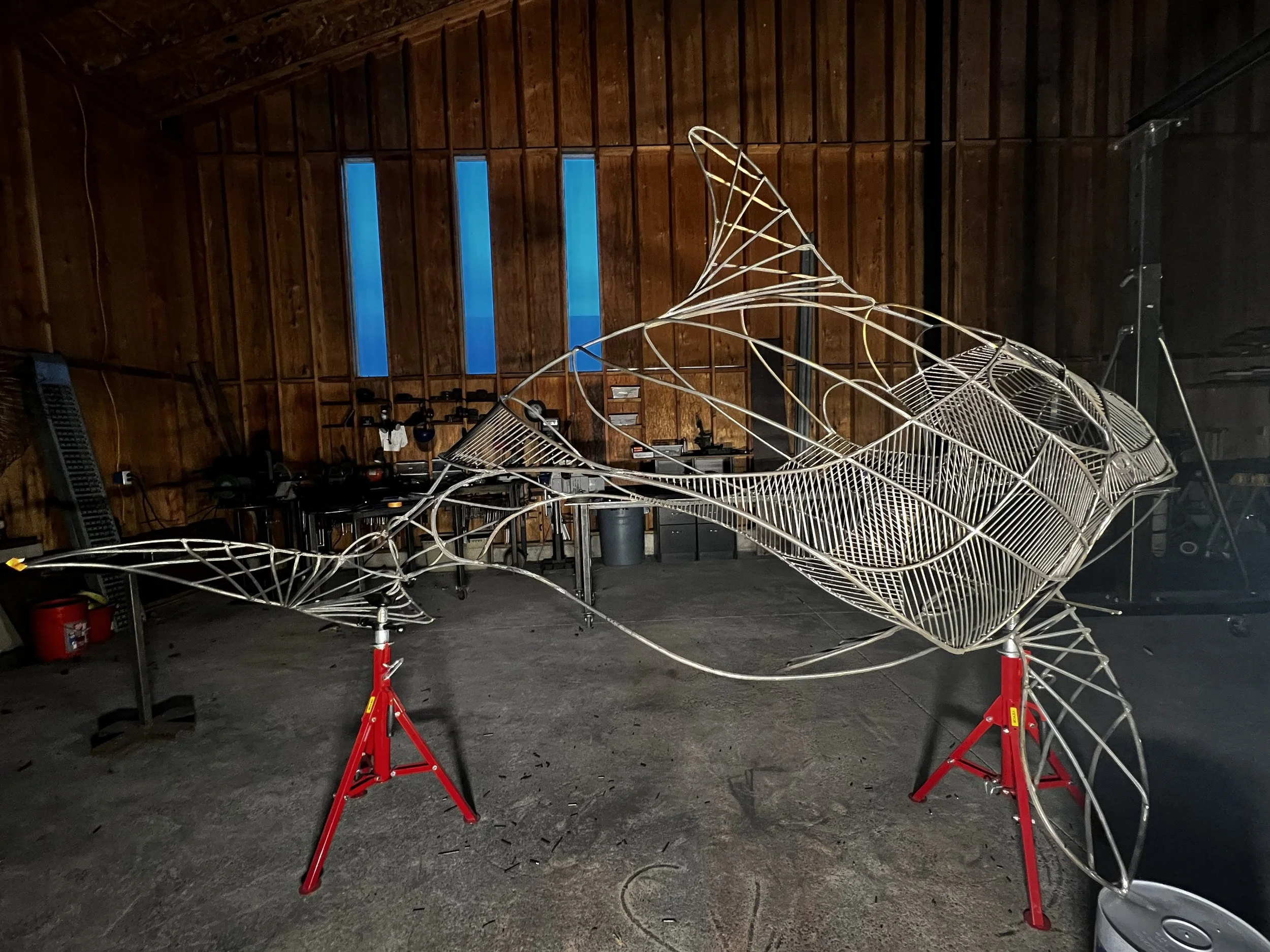 Spadafore_Orca  (3c).jpg