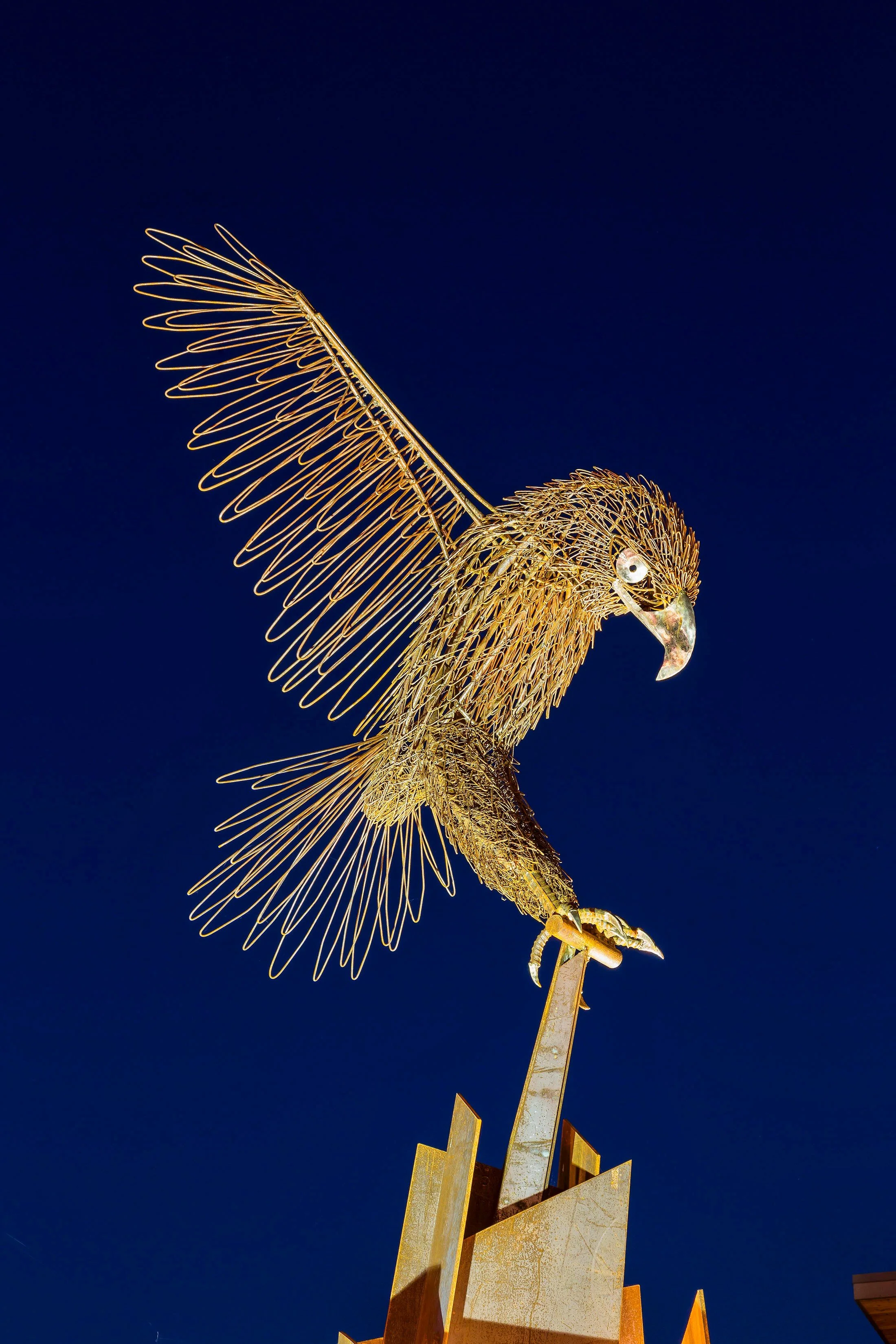 Spadafore_Hawks Prairie (7).jpg
