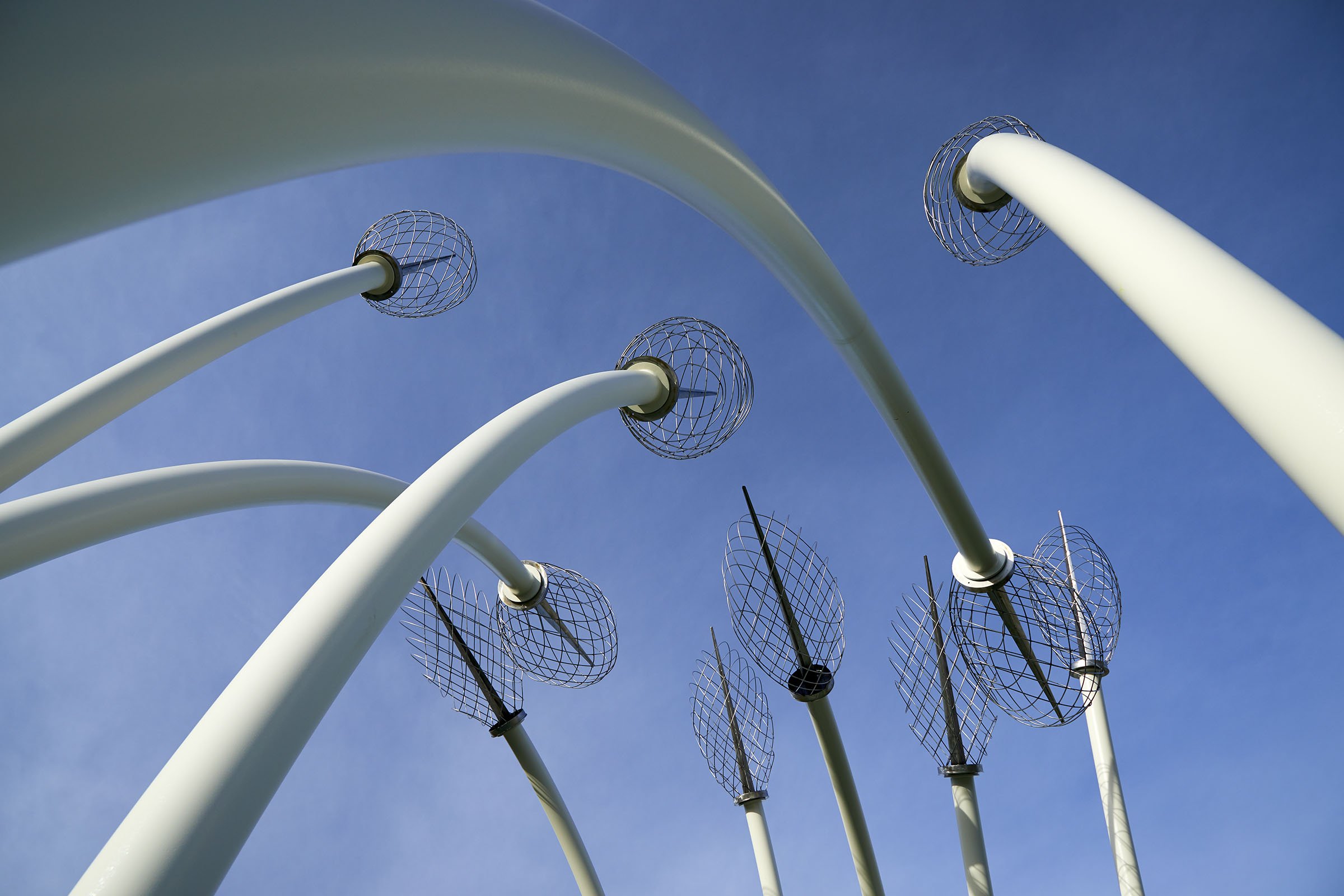 Spadafore_Meridian Habitat Park (2).jpg