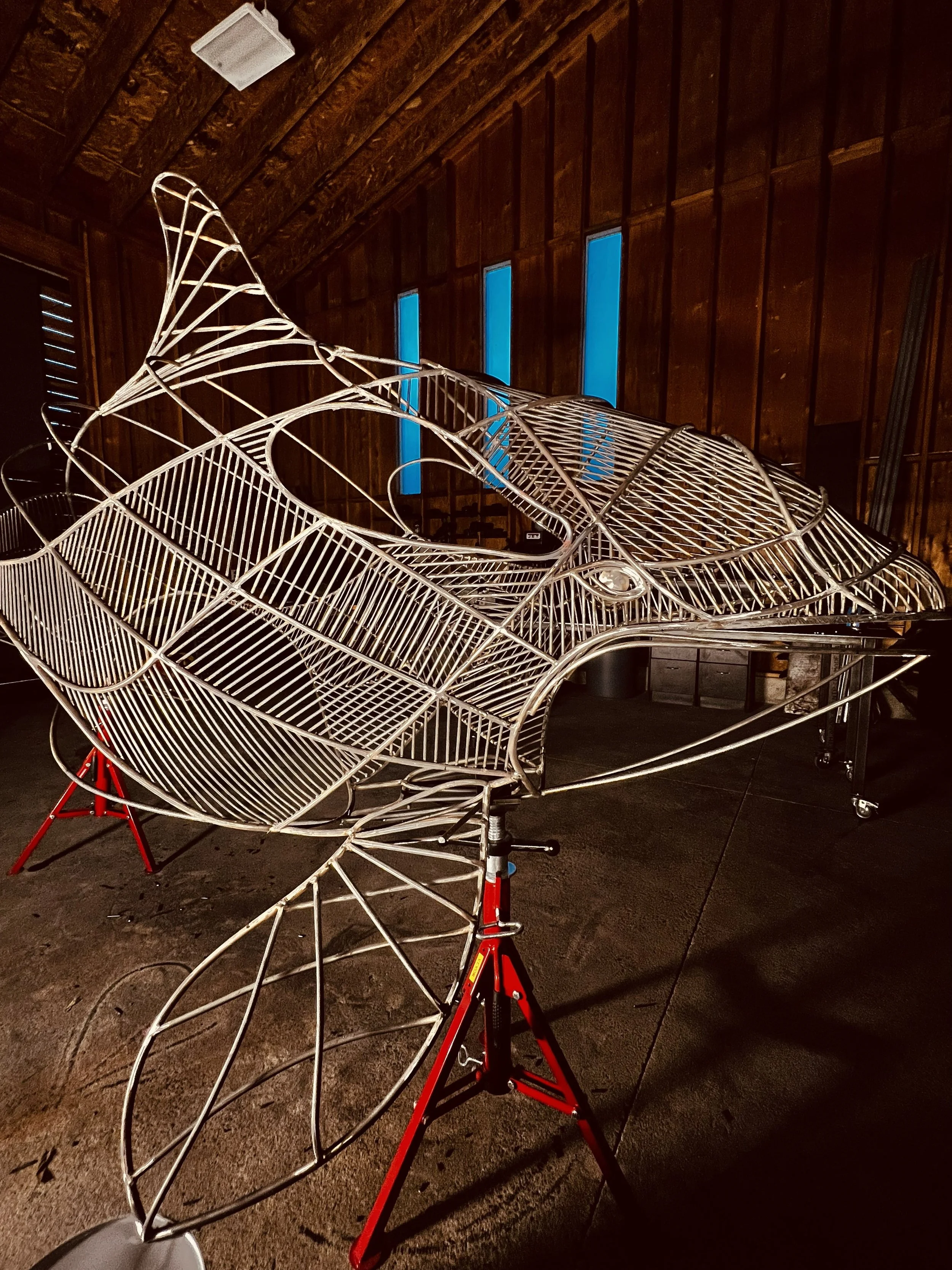 Spadafore_Orca  (3b).jpg