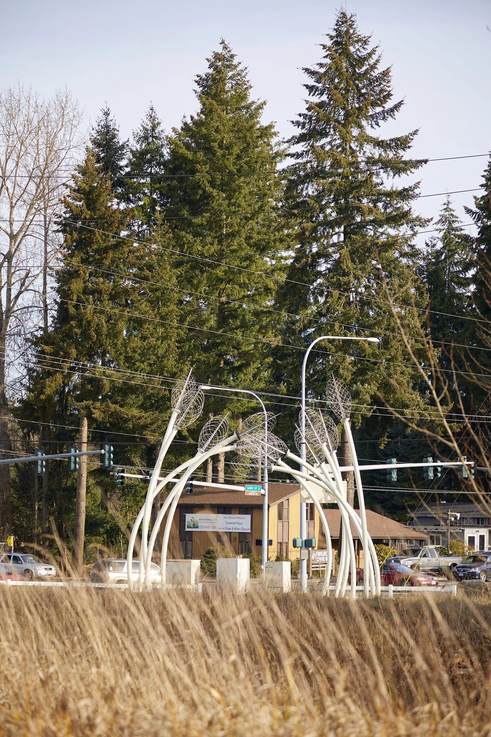 Spadafore_Meridian Habitat Park (5).jpg