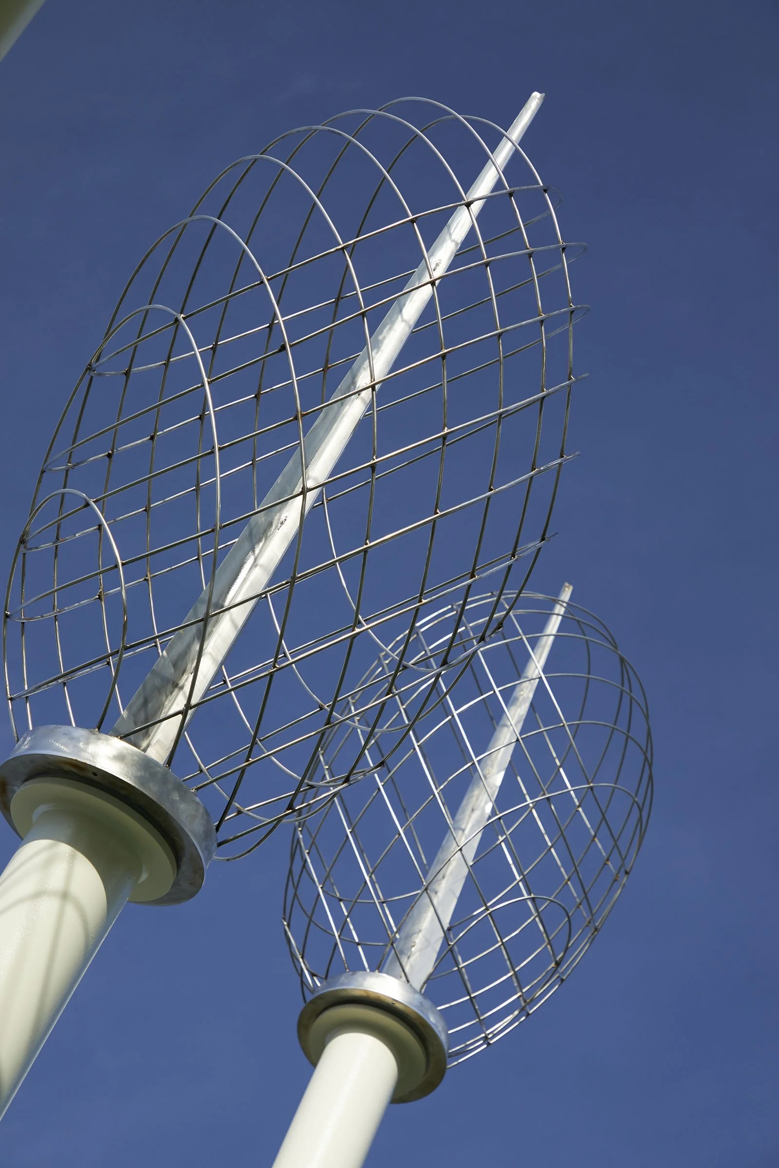 Spadafore_Meridian Habitat Park (10).jpg