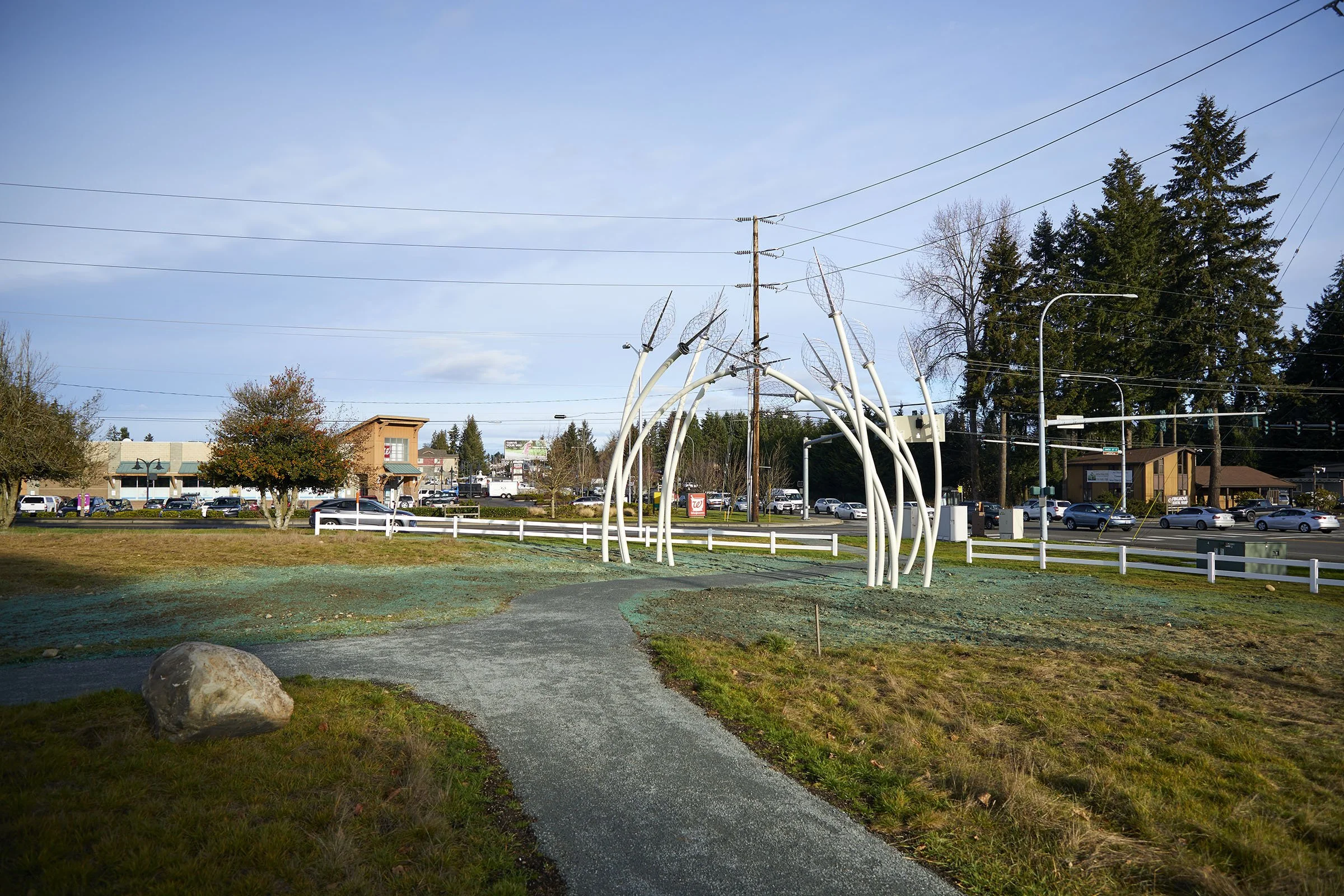 Spadafore_Meridian Habitat Park (4).jpg
