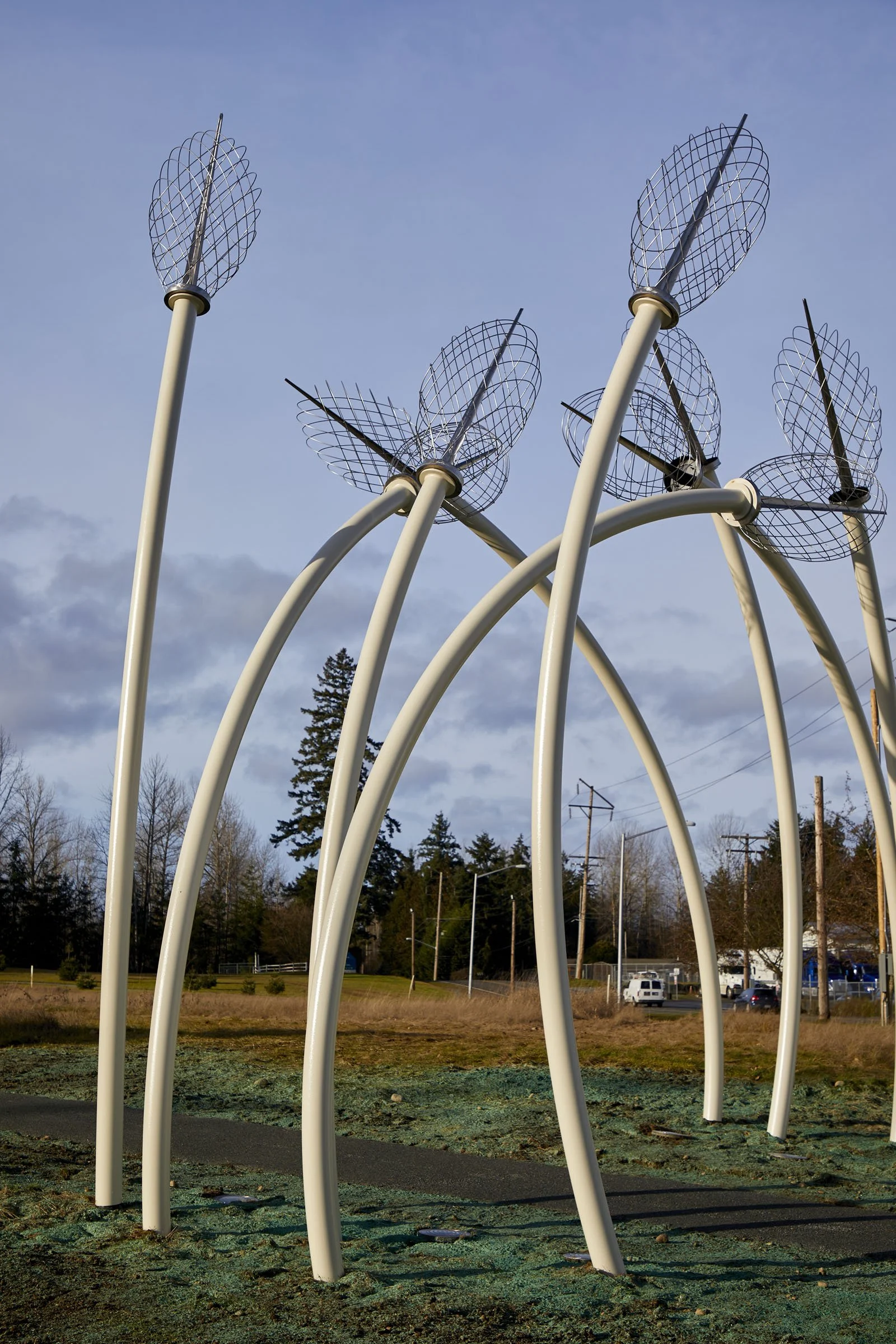 Spadafore_Meridian Habitat Park (6).jpg